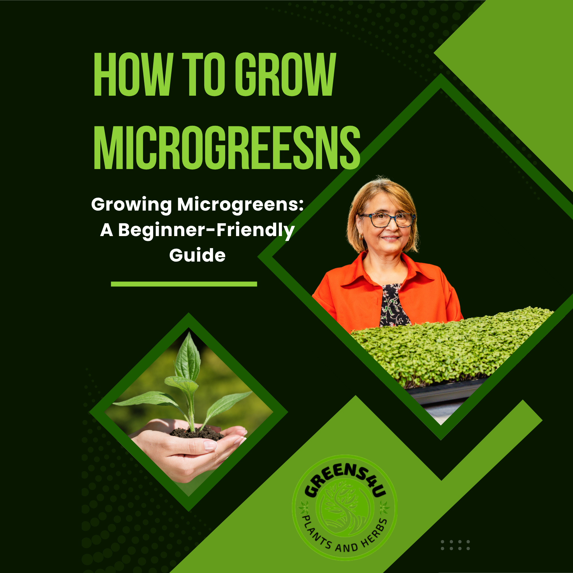How to grow microgreens v2 small .png