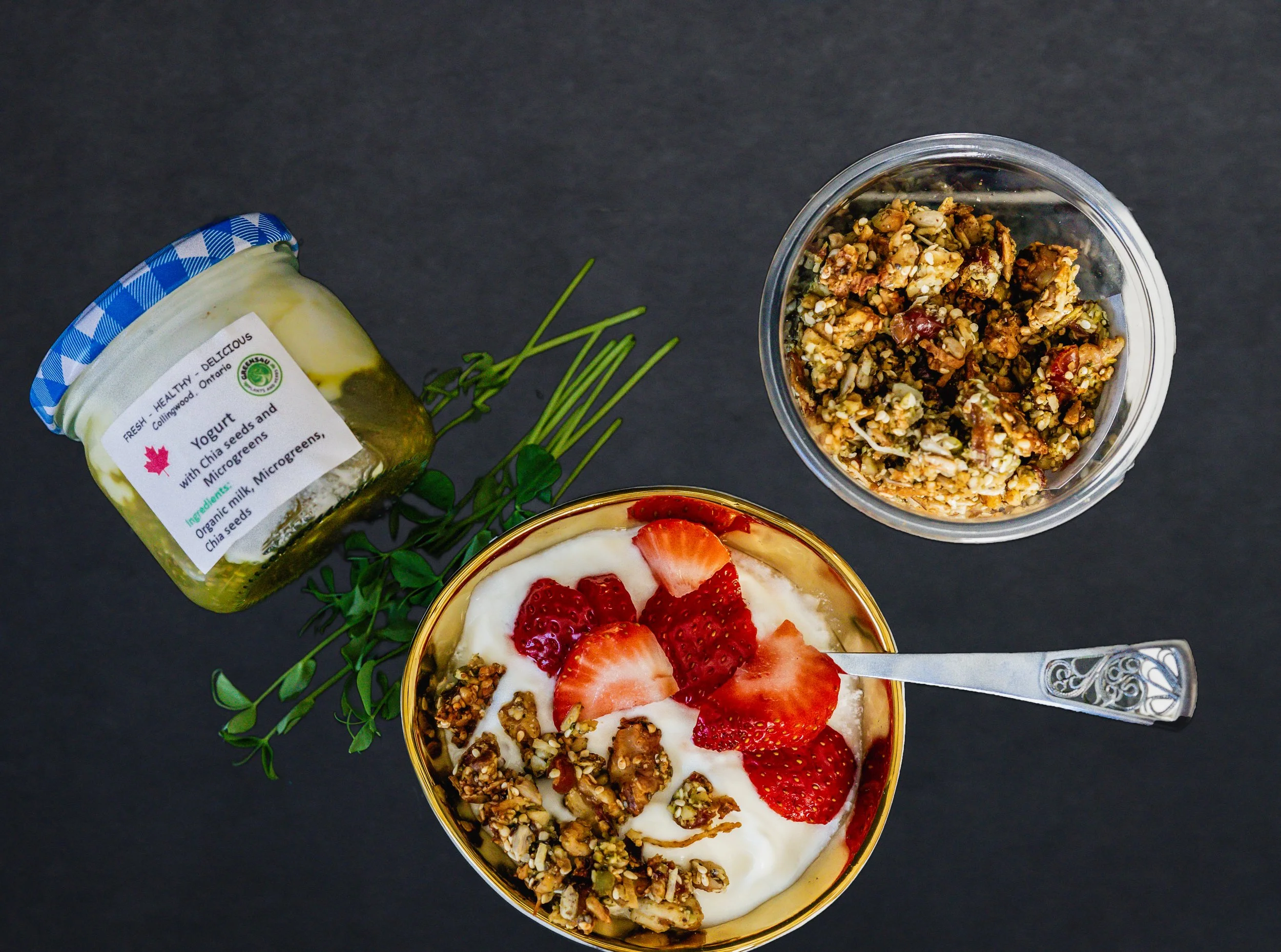 yogurt1.jpg