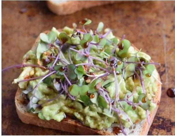 Green Goddess avocado toast topped with fresh microgreens, avocado, and hemp seeds on toasted sourdough