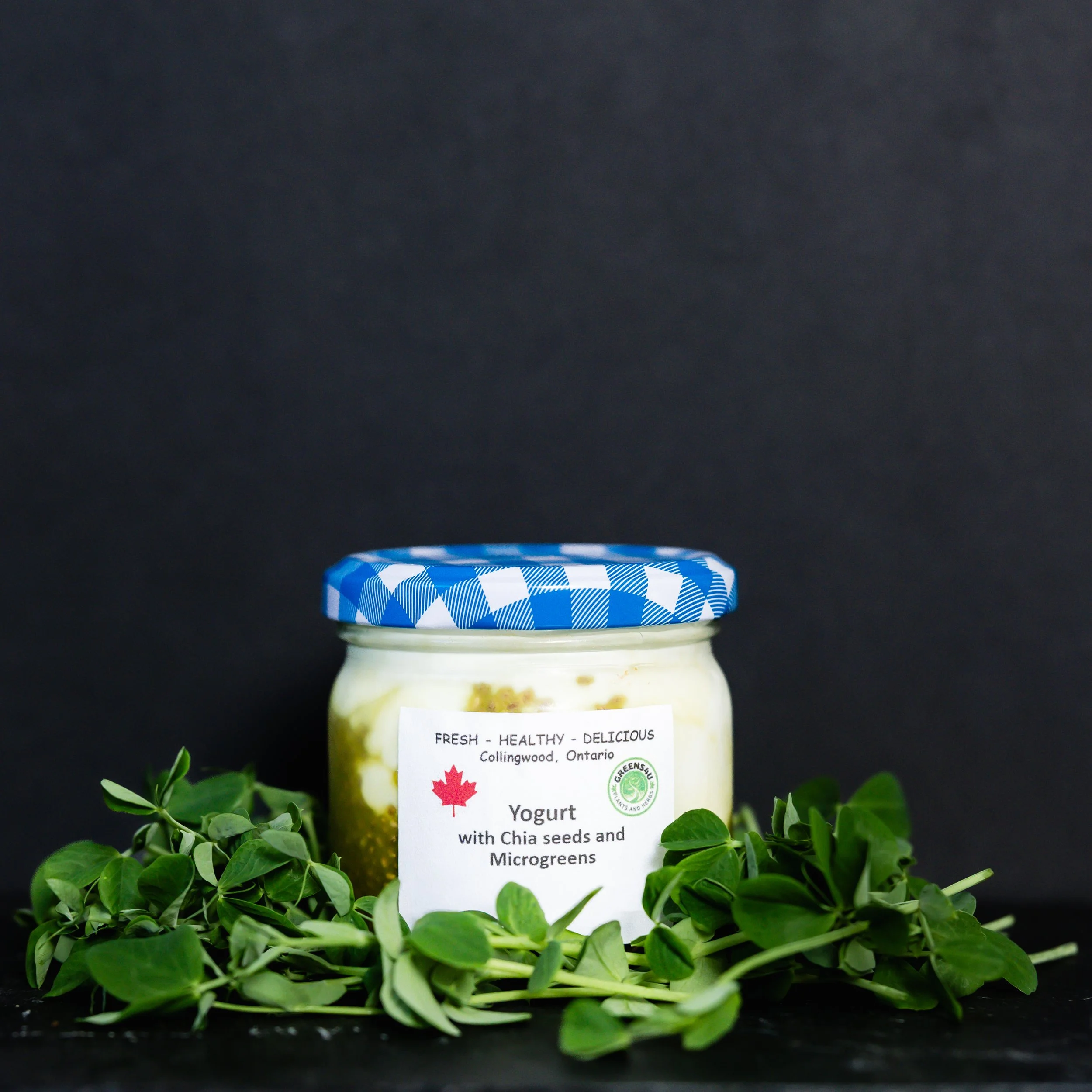 yogurt3.jpg