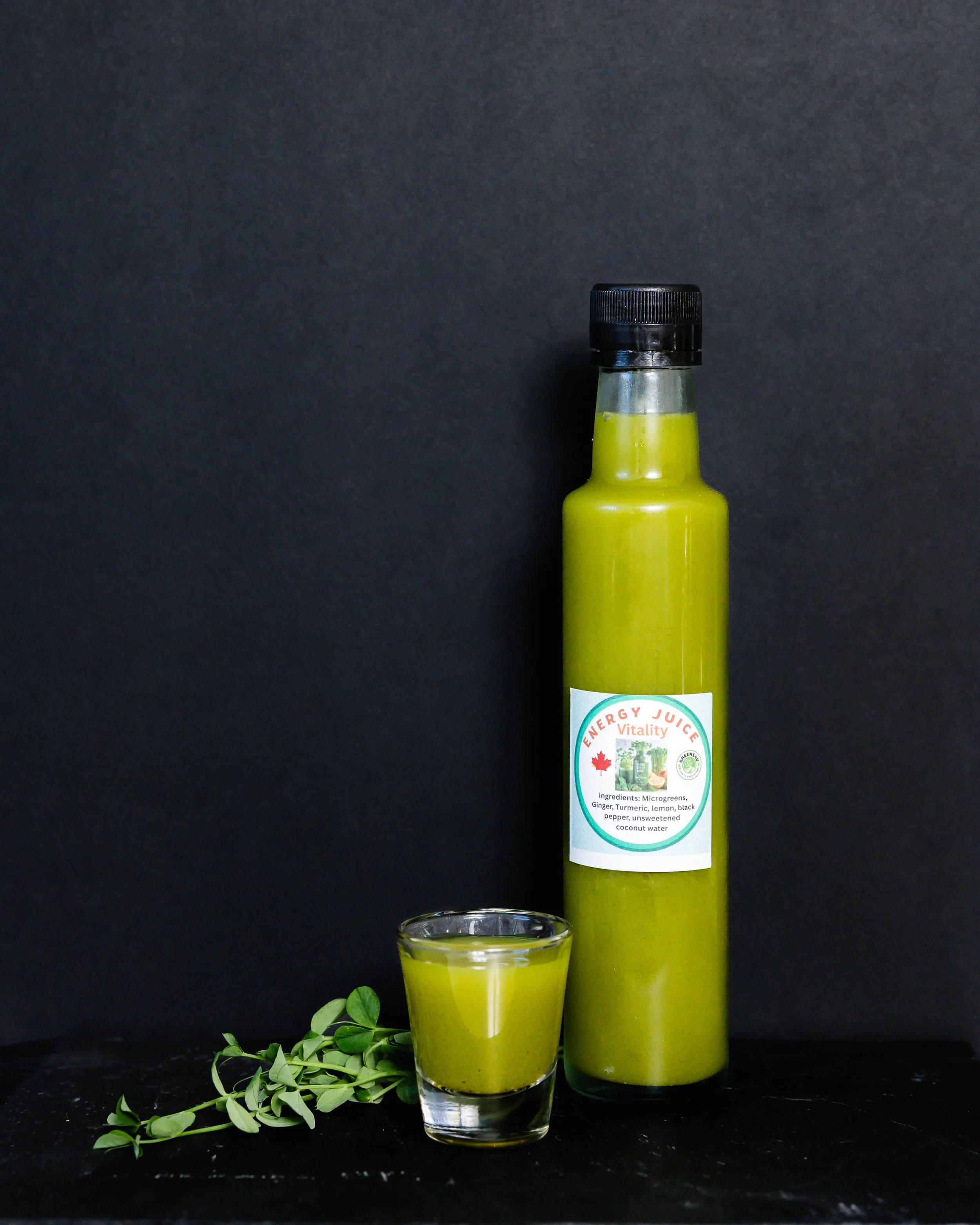 Greens4U_KiannaSunshinePhotography-109.jpg