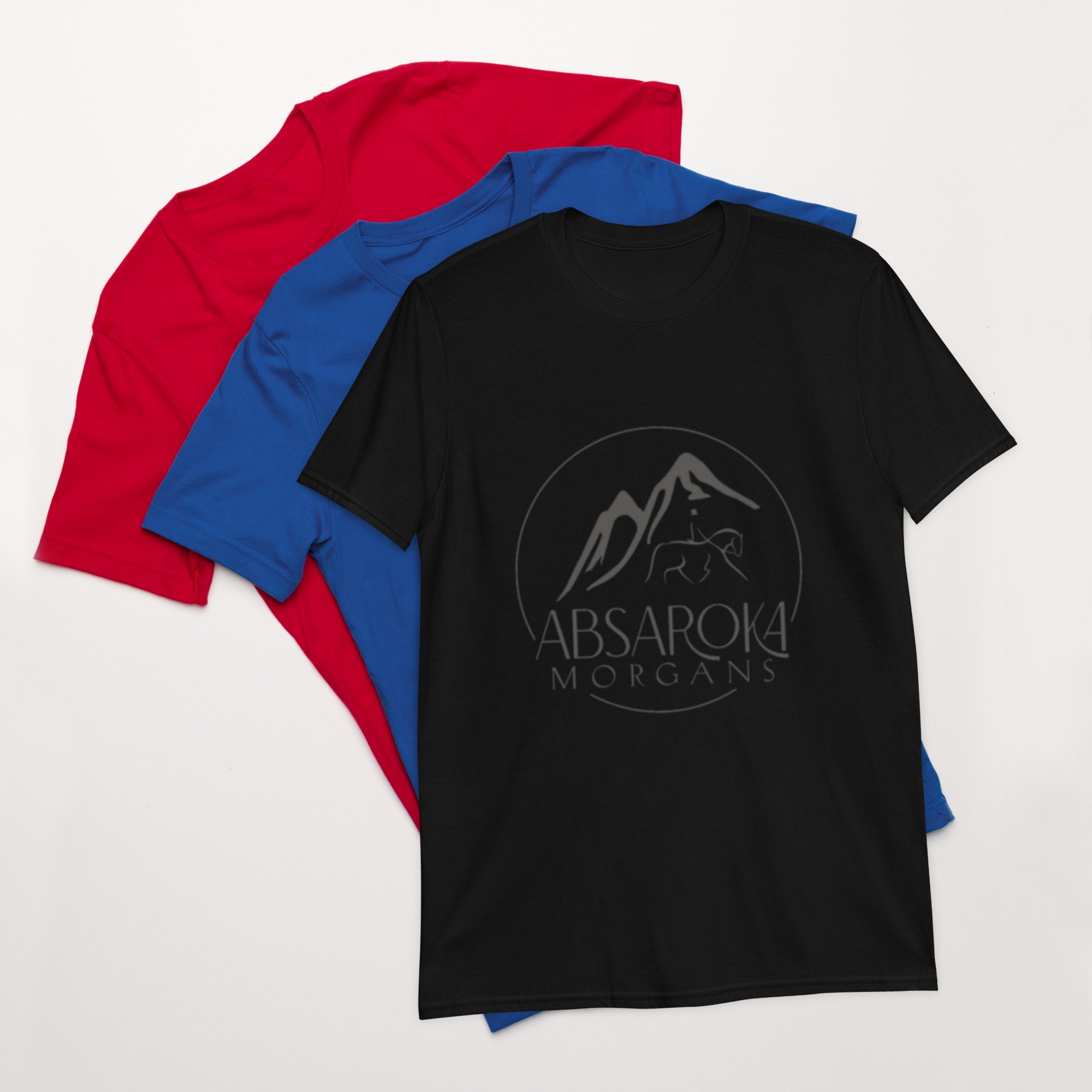 unisex-basic-softstyle-t-shirt-black-front-65f21e209ea15.jpg
