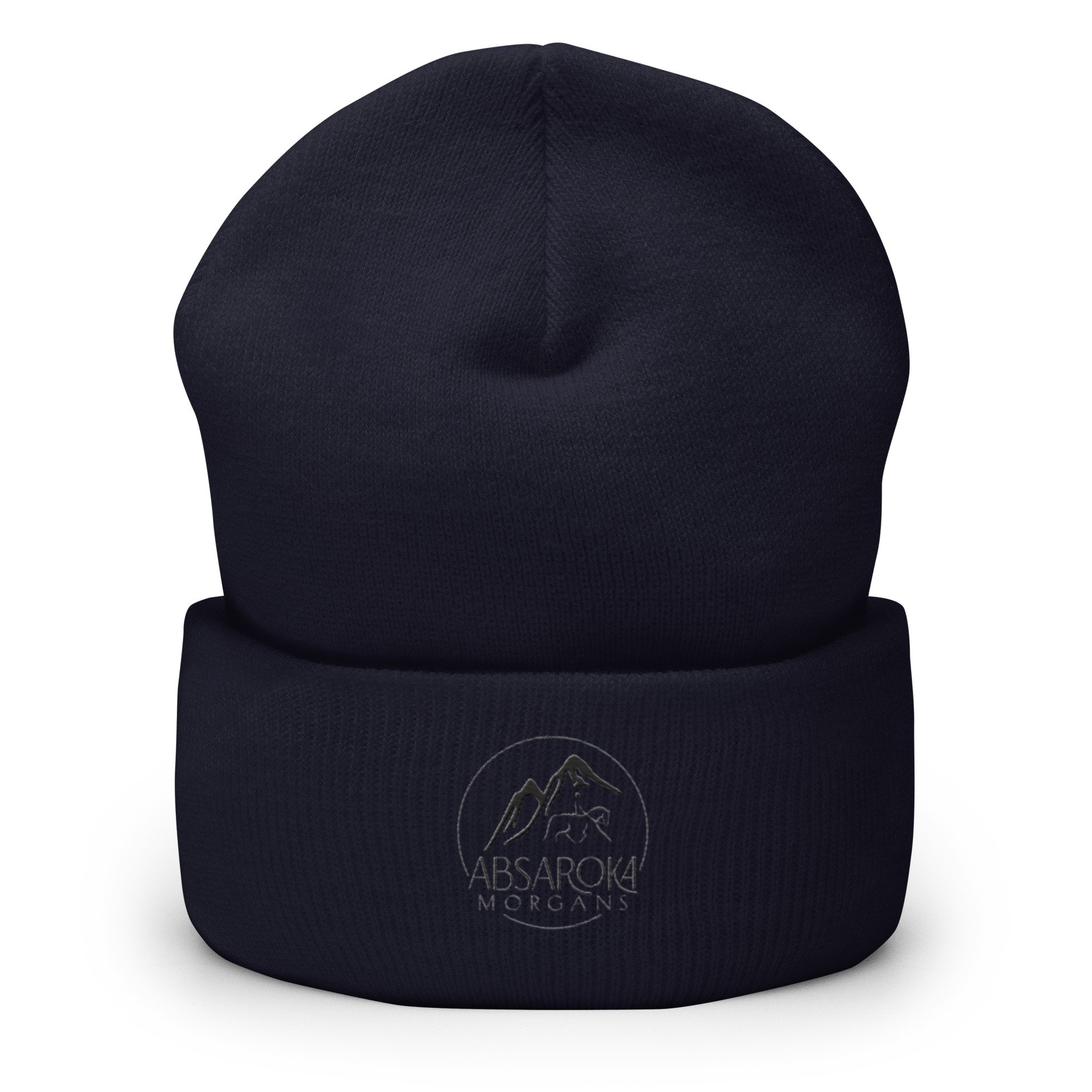 cuffed-beanie-navy-front-65f21ebc1c9e0.jpg