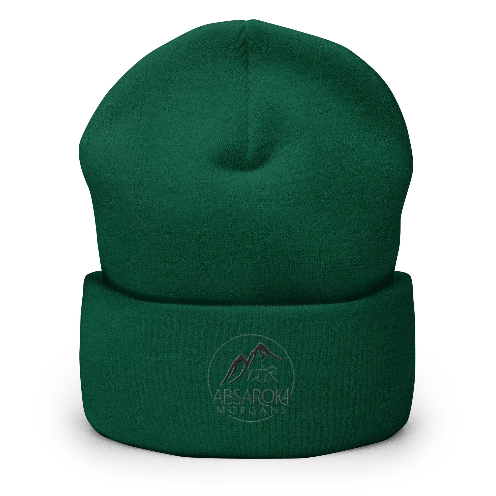 cuffed-beanie-spruce-front-65f21ebc1cc64.jpg