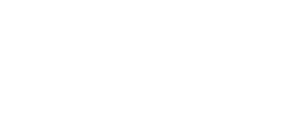 North Star Scientific logo