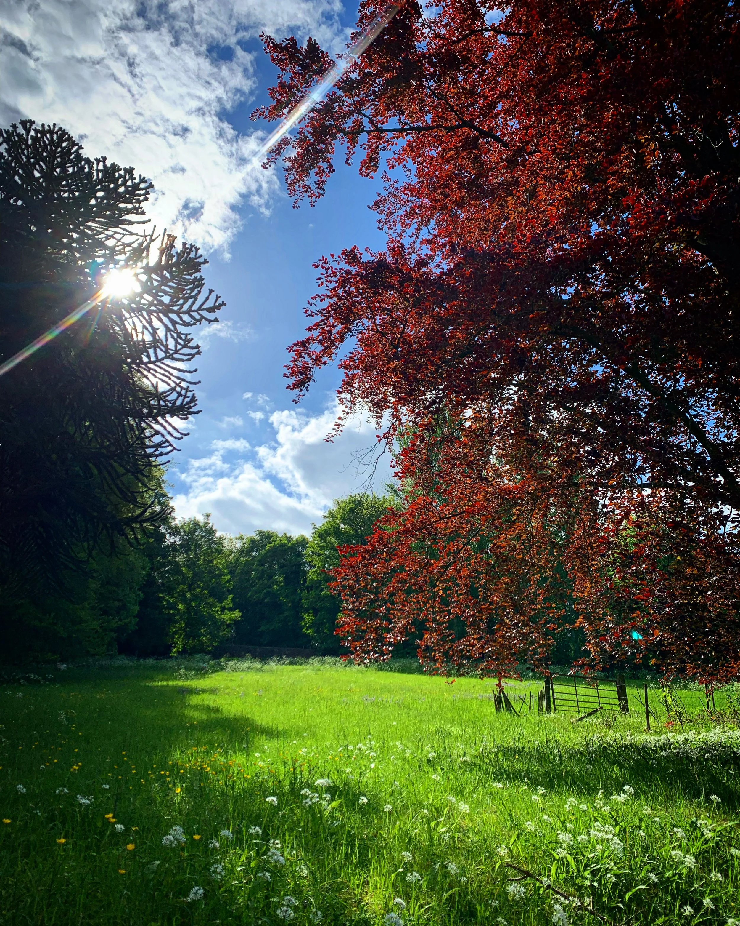 The Tyning in Freshford
