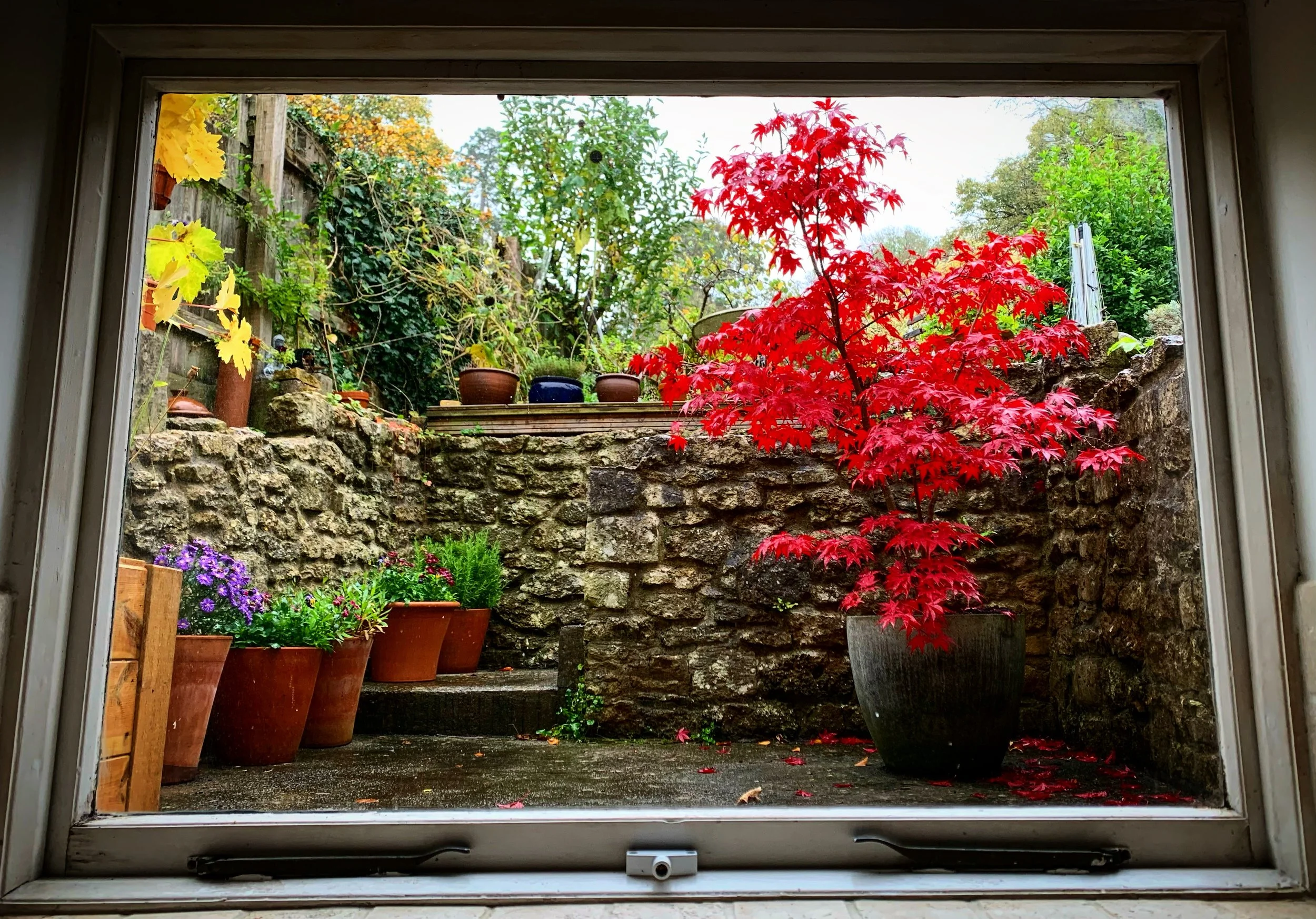 View from the kitchen window