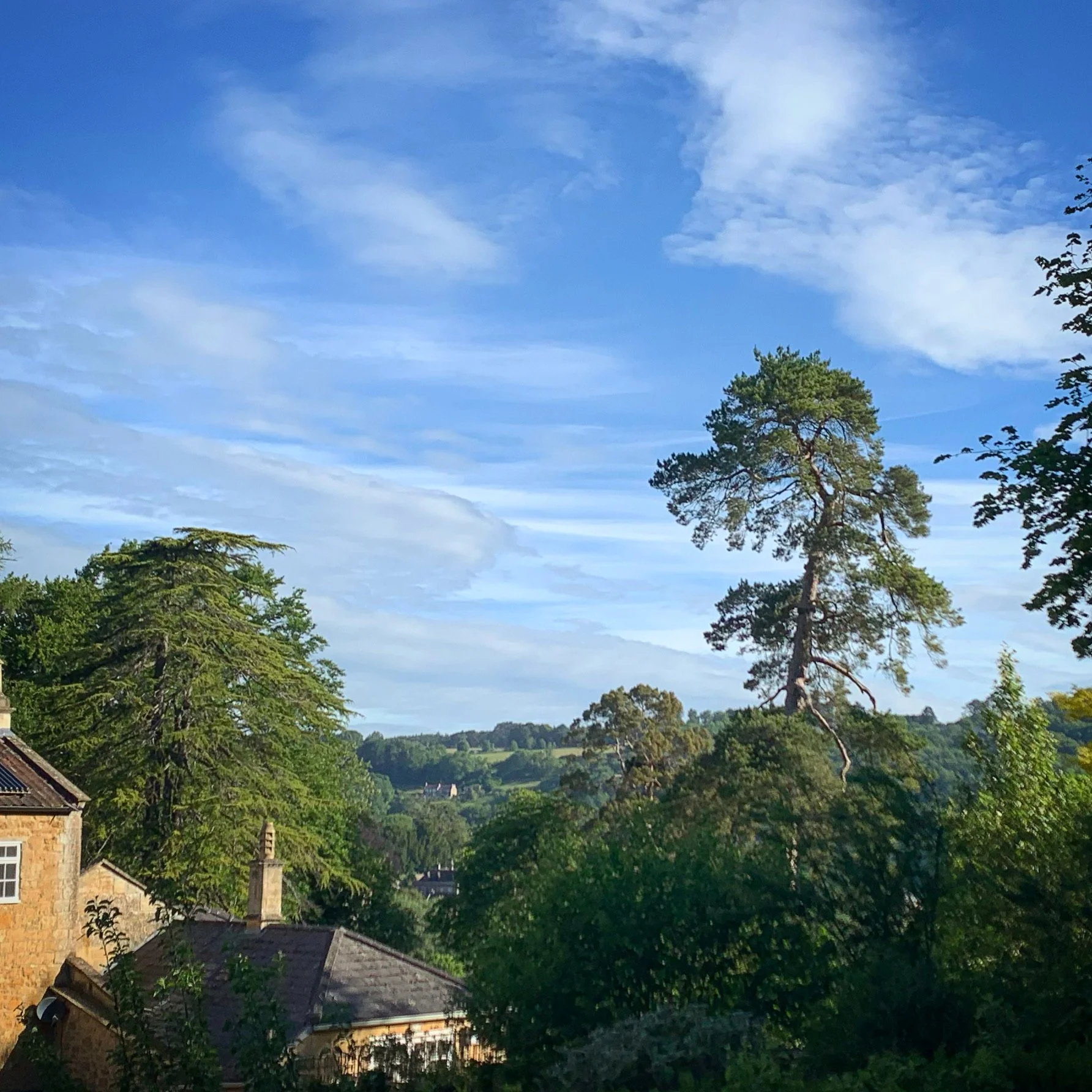 View from the garden