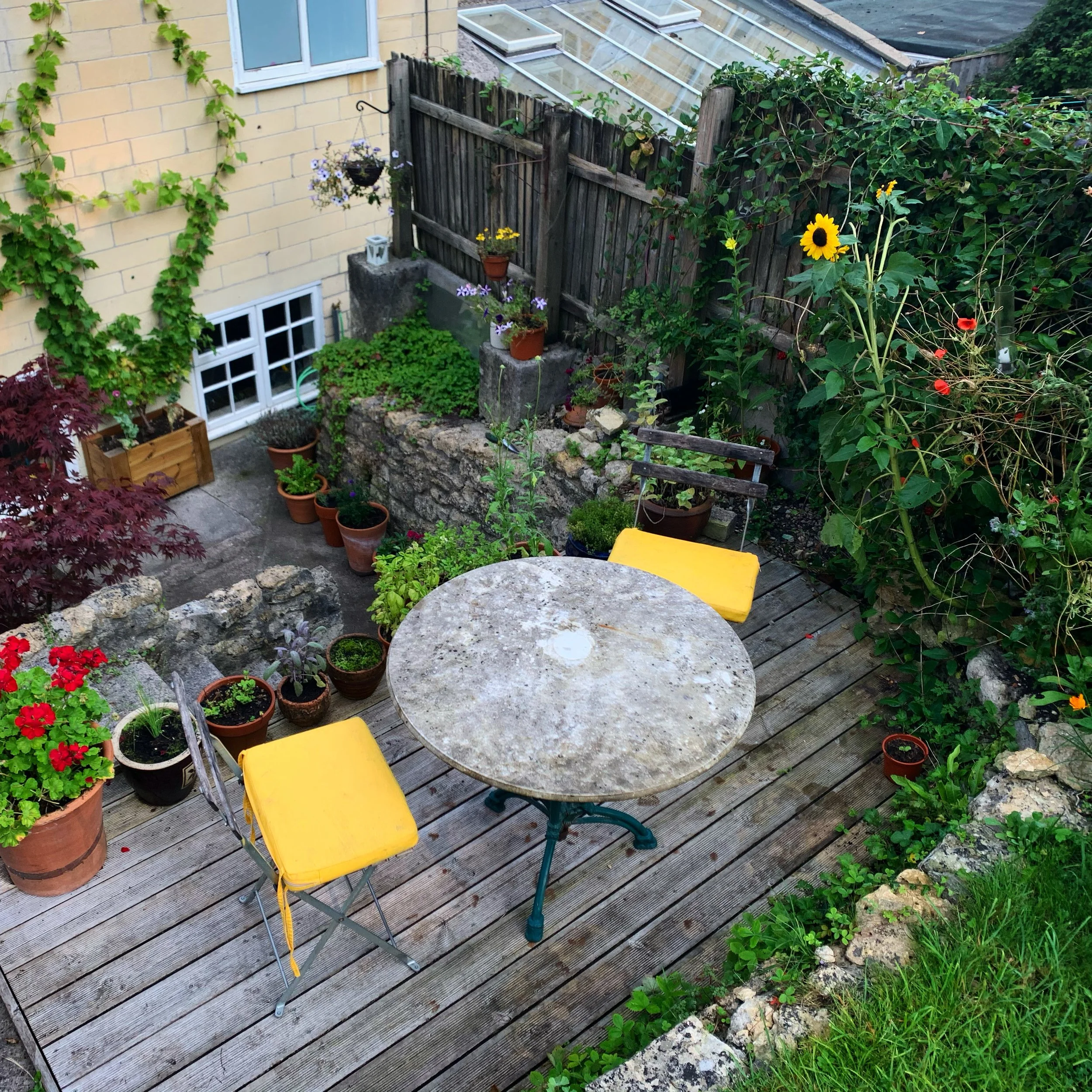 Deck near house (gets morning sun)