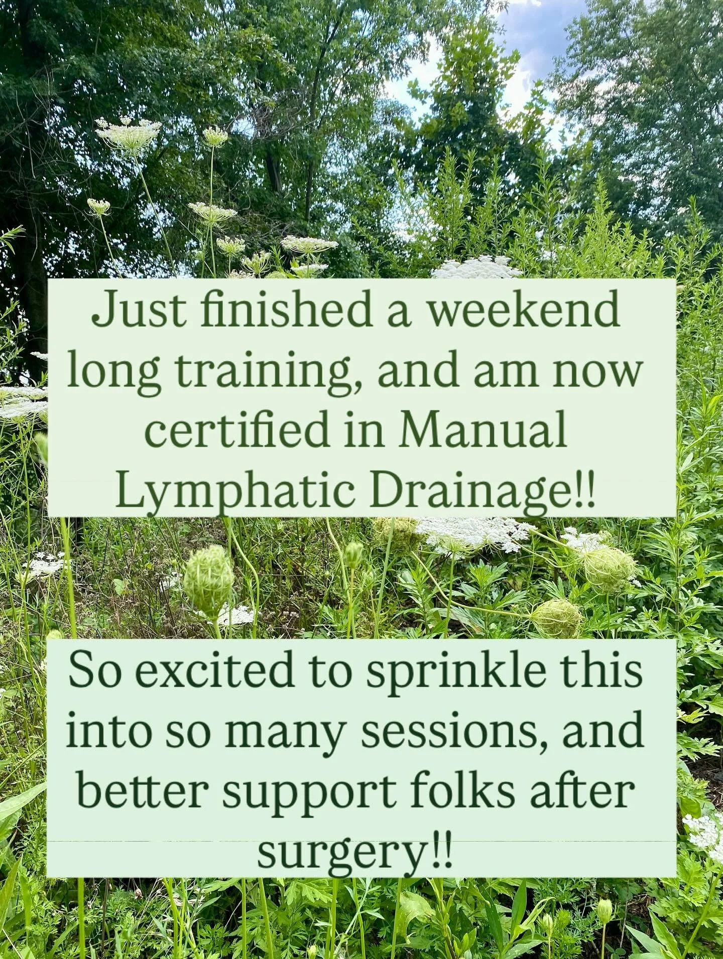 Come see me for Lymphatic Drainage with the Vodder technique! I&rsquo;m so excited, I&rsquo;ve been wanting to learn this for years! 

#surgery #massagetherapist #genderaffirmingcare #trans