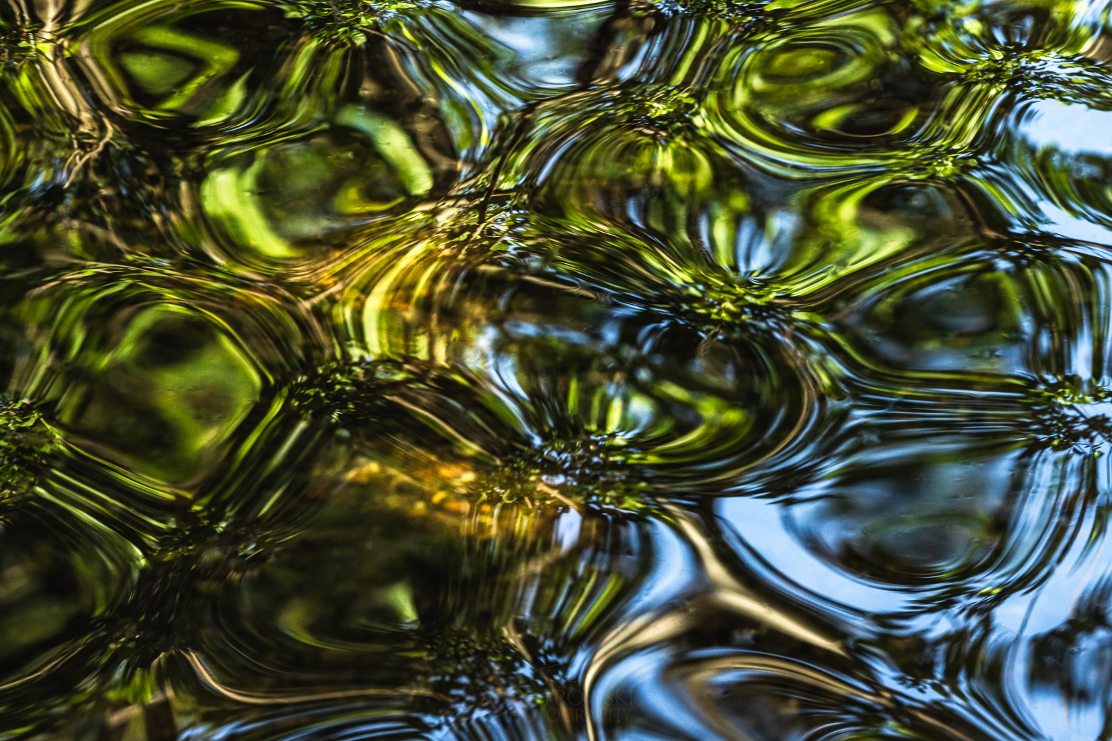 Abstract Scotland Photography Workshops Alex Trowski-6.jpg