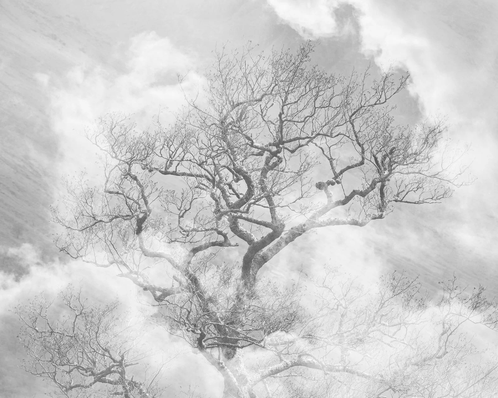 Abstract Scotland Photography Workshops Alex Trowski-42.jpg