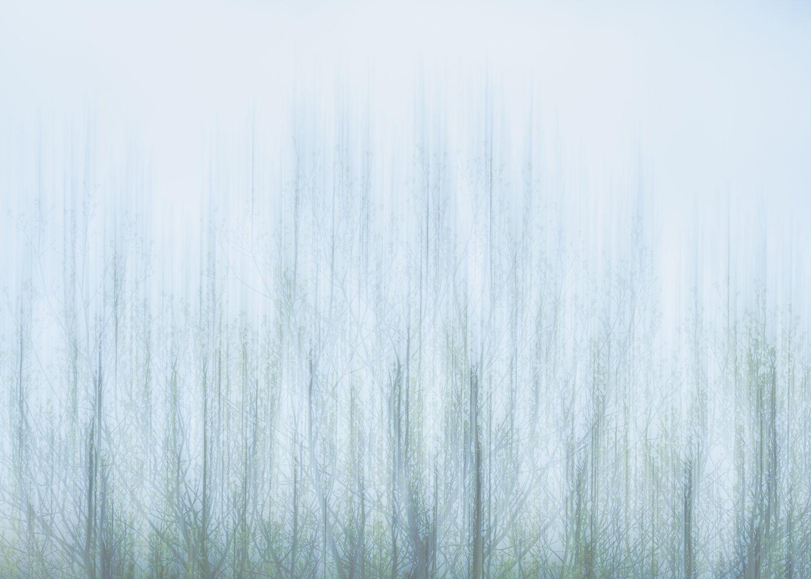 Abstract Scotland Photography Workshops Alex Trowski-94.jpg