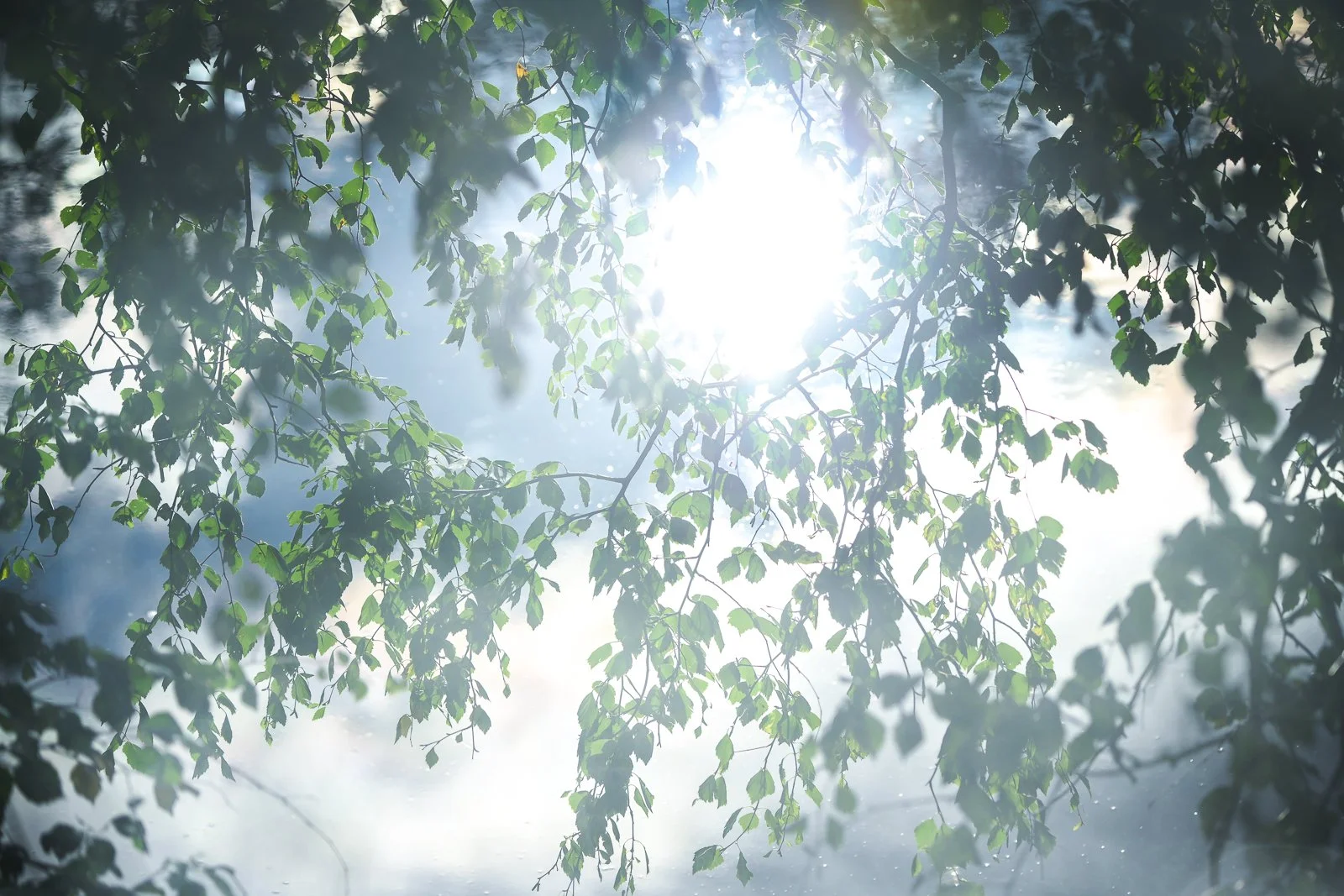 Abstract Scotland Photography Workshops Alex Trowski-98.jpg