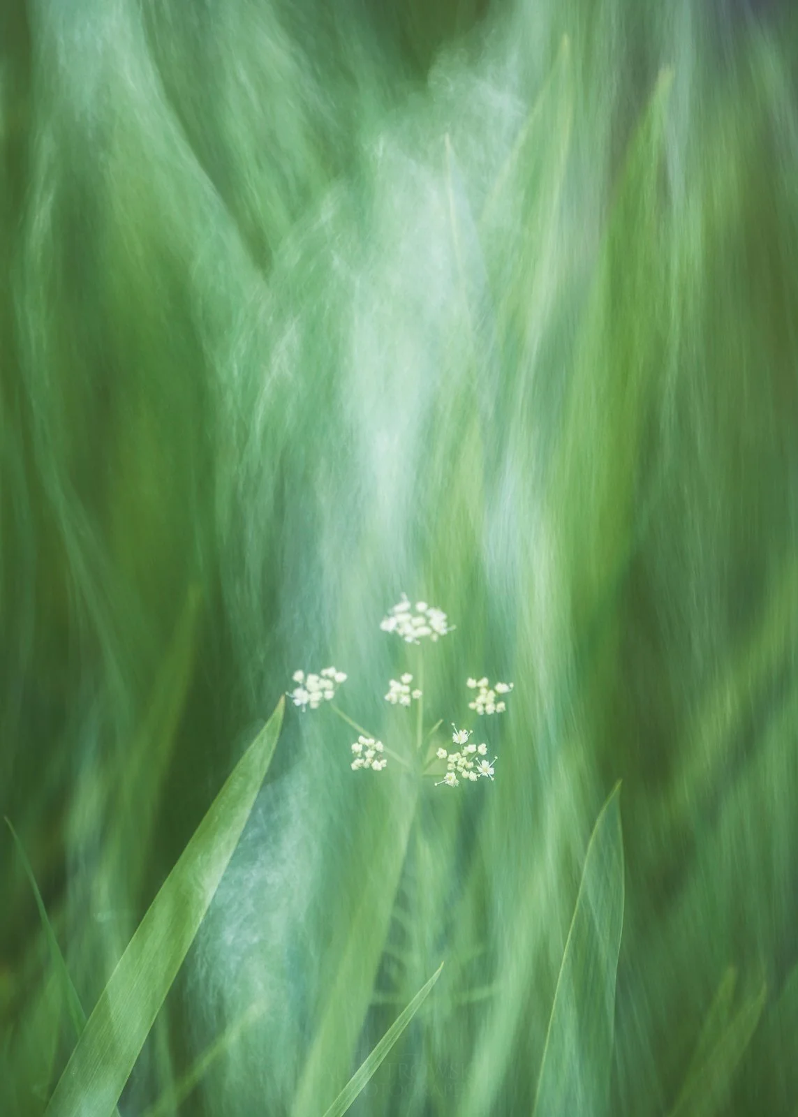 Abstract Scotland Photography Workshops Alex Trowski-52.jpg