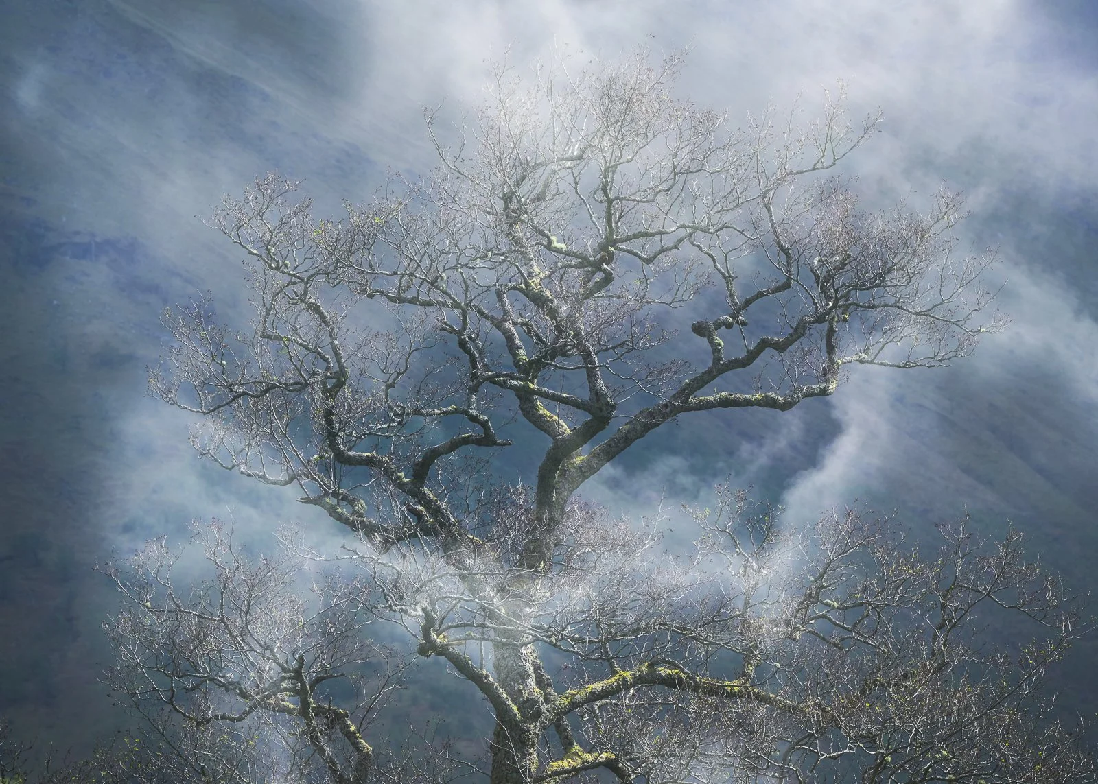 Abstract Scotland Photography Workshops Alex Trowski-43.jpg