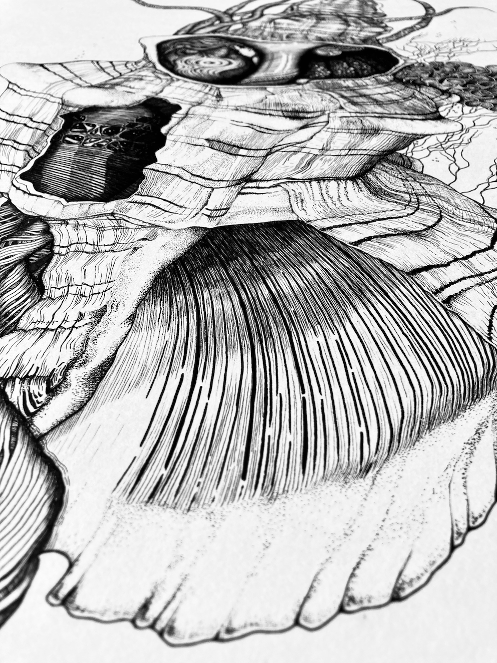 Womb in a shell_Details2_LF.png