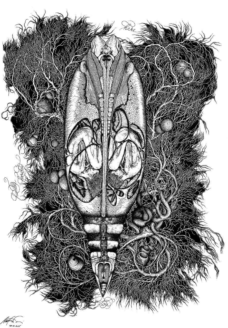 "Humble Harvest" (2025, Ink on paper, 420x590mm)
This piece is about the sacred exchange between humans and nature - the delicate dance of giving and receiving. It’s a visual reminder that when we approach the natural world with gratitude and respect