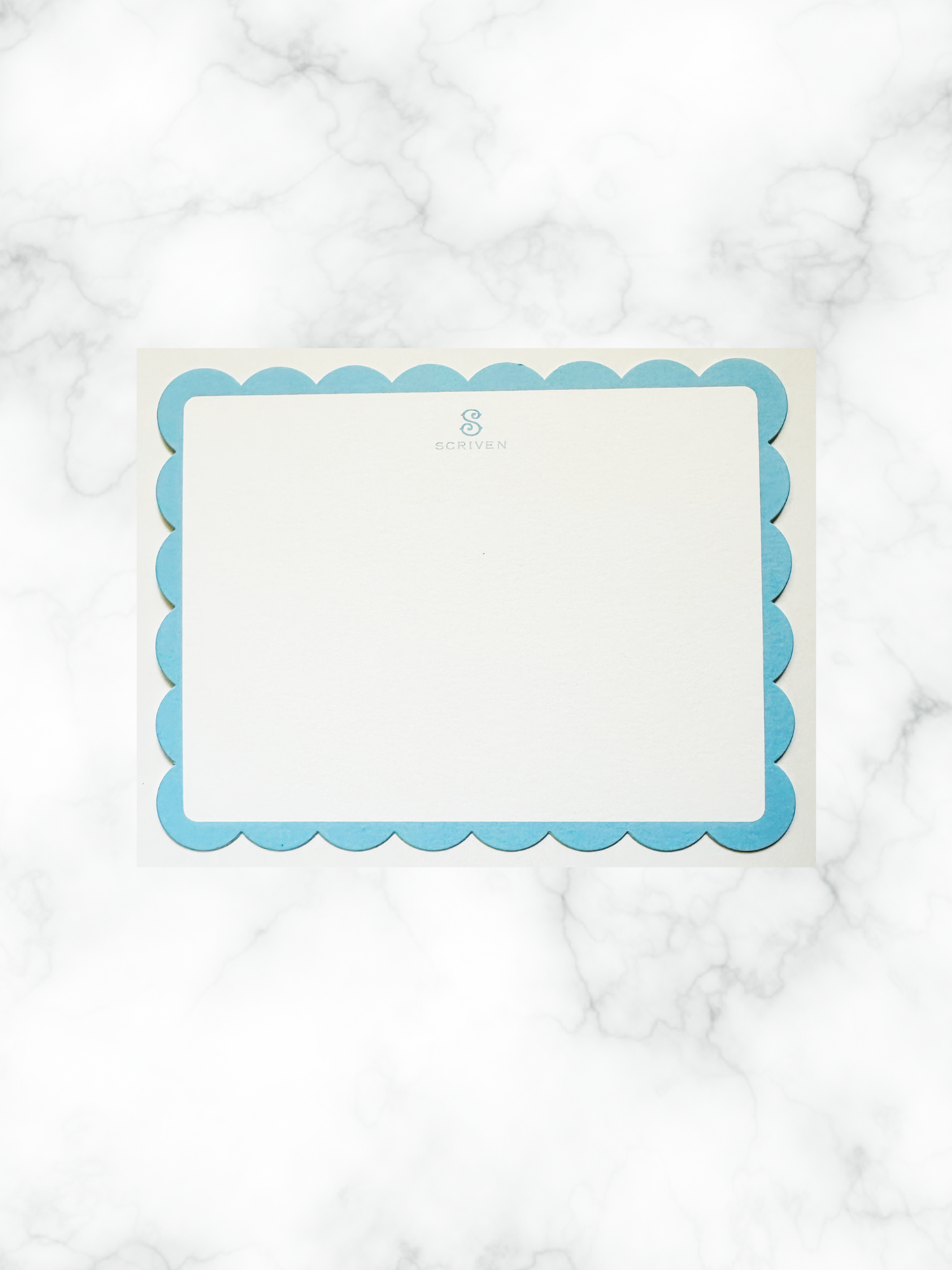 website pic of blue scallop.png
