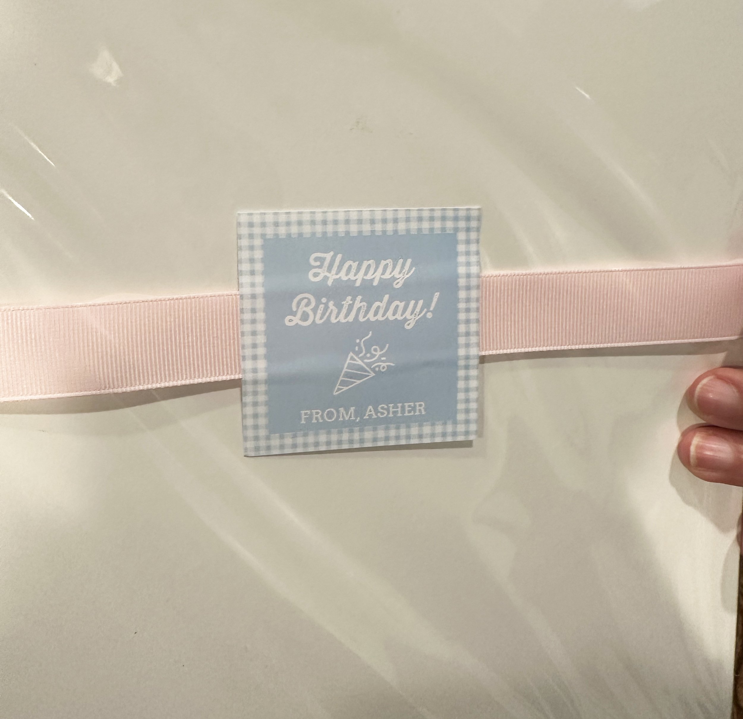 blue gingham sticker pic.jpg