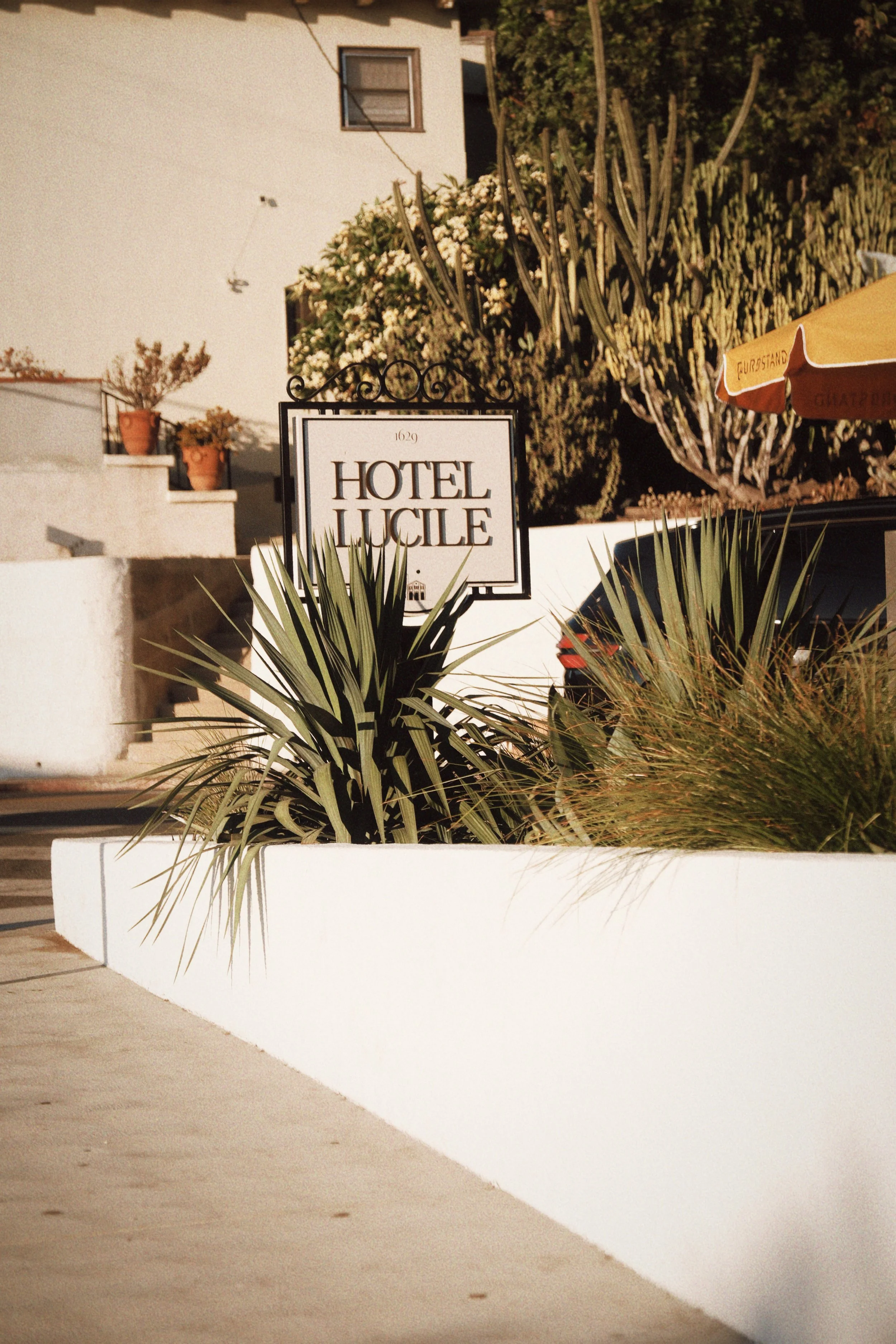 LUCILE-SECONDSTORY12.JPG