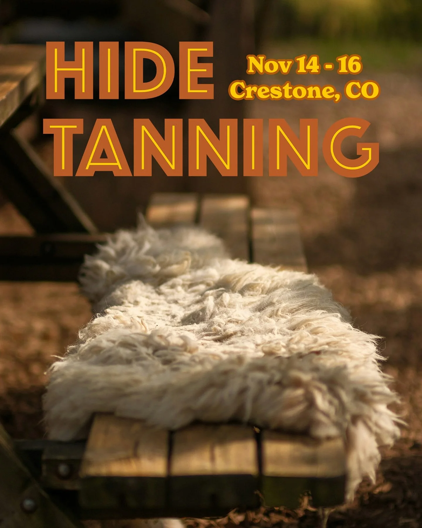 Surprise! We just announced one last Ongoing Education workshop for 2025 - Hide Tanning with Nick Parker. 9/14-915 in Crestone, CO. 🐑

Join us for a hands-on, three-day workshop in hair-on sheep hide tanning using the traditional method of brain tan