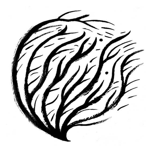 305747071_743202210202095_1399036539449240041_n.png
