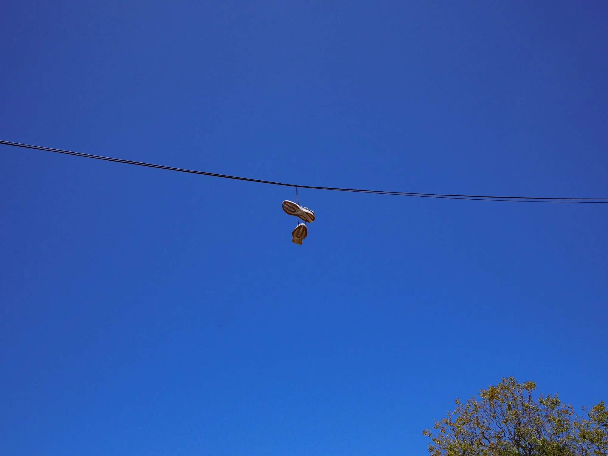 P1040159.jpg
