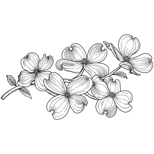 Register for All Three Consultation Groups