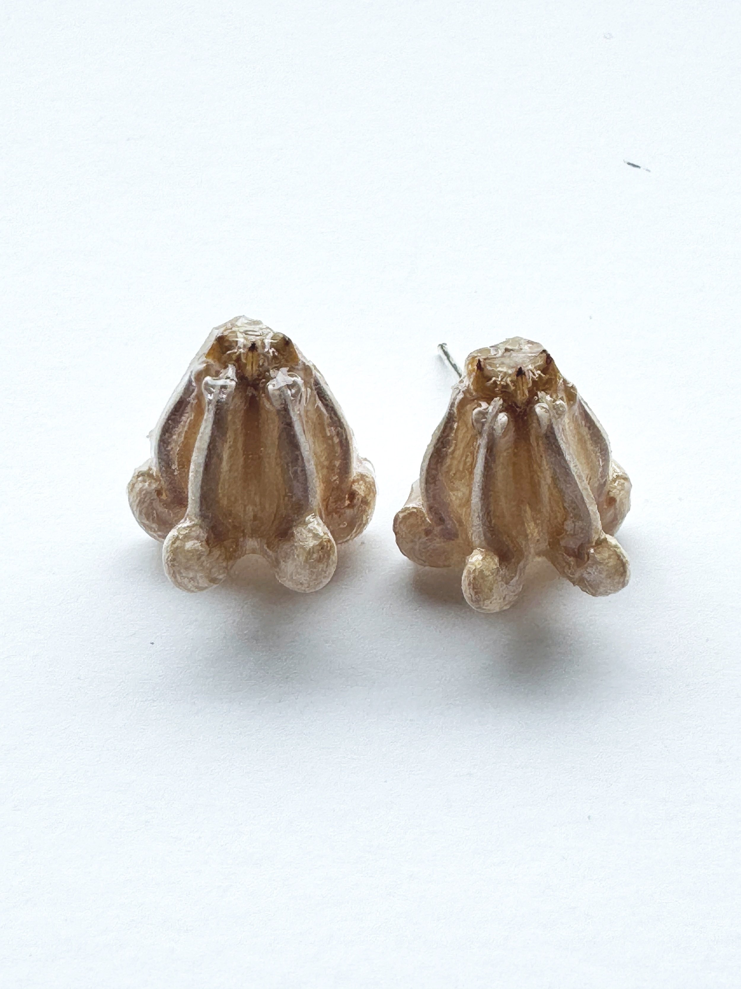 Real+Flower+Studs-+++GW%23005.jpg