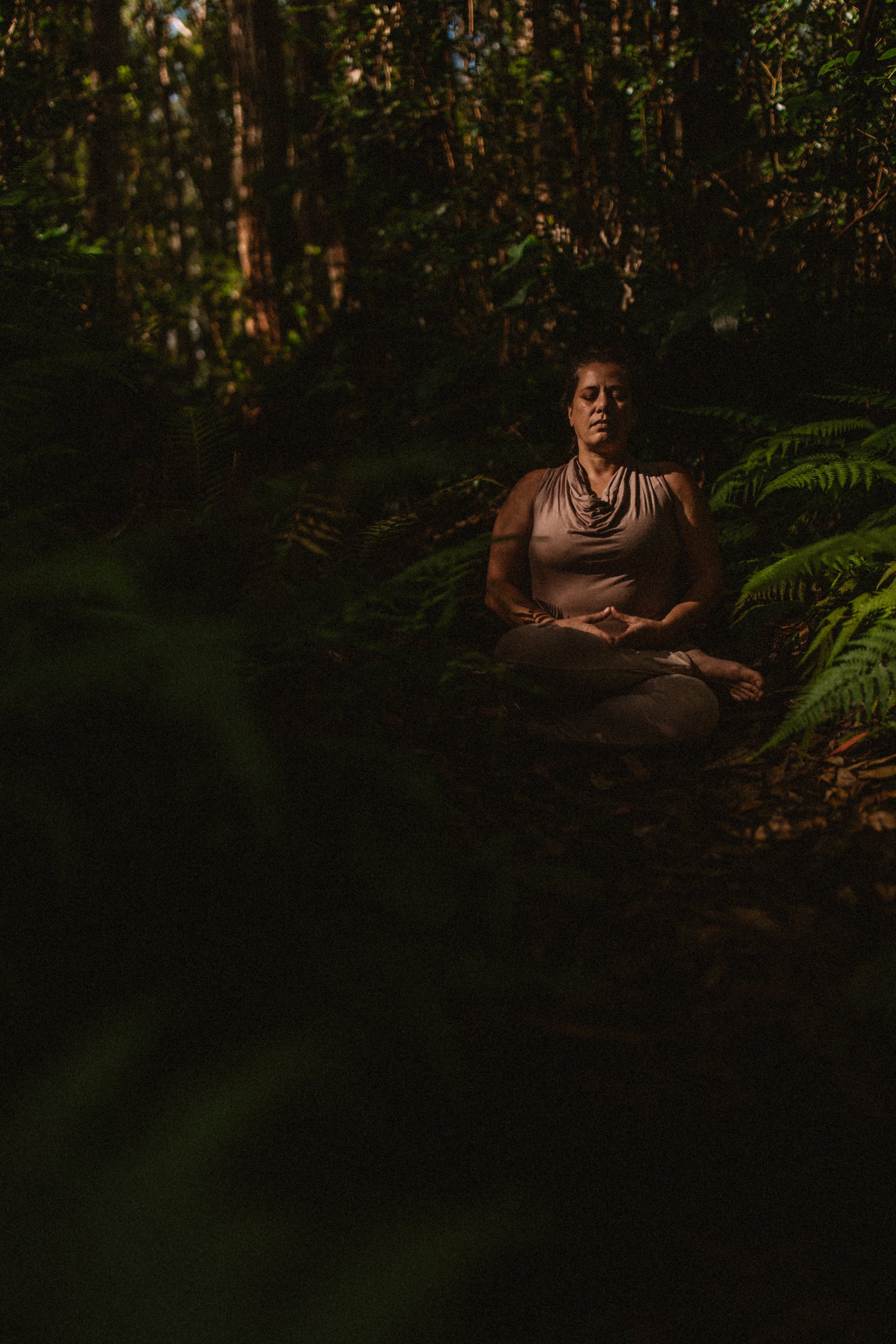 Allowing Yourself To Be Present -Free Download