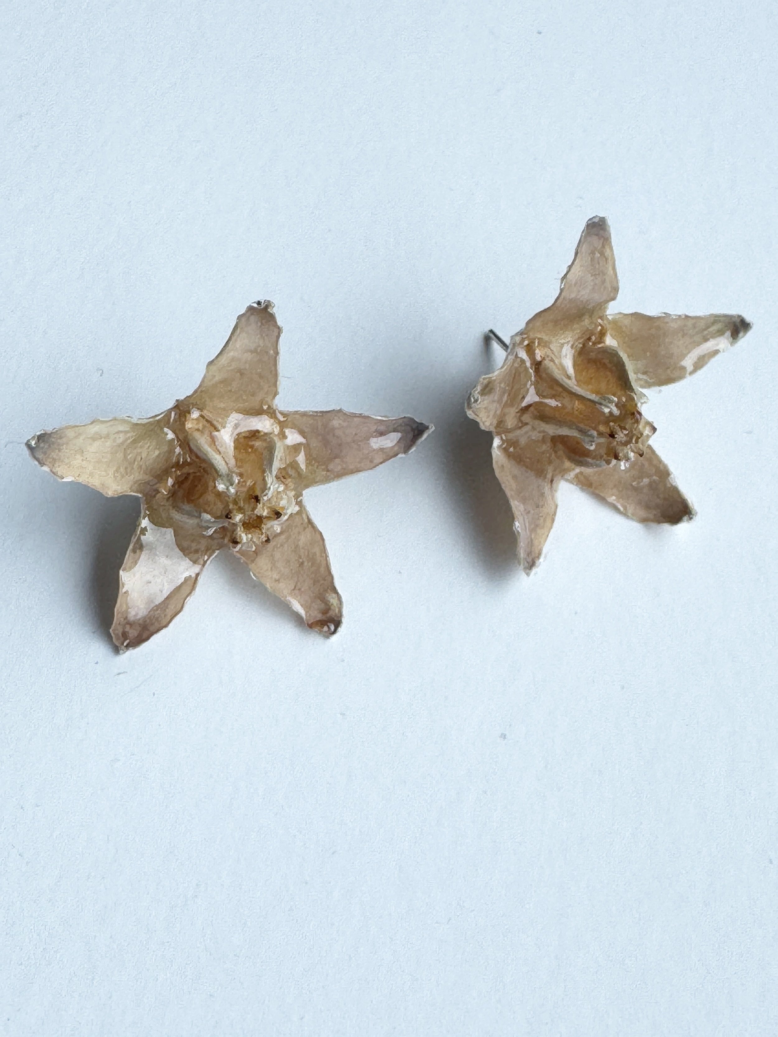 Real+Flower+Studs-++SW%23004.jpg