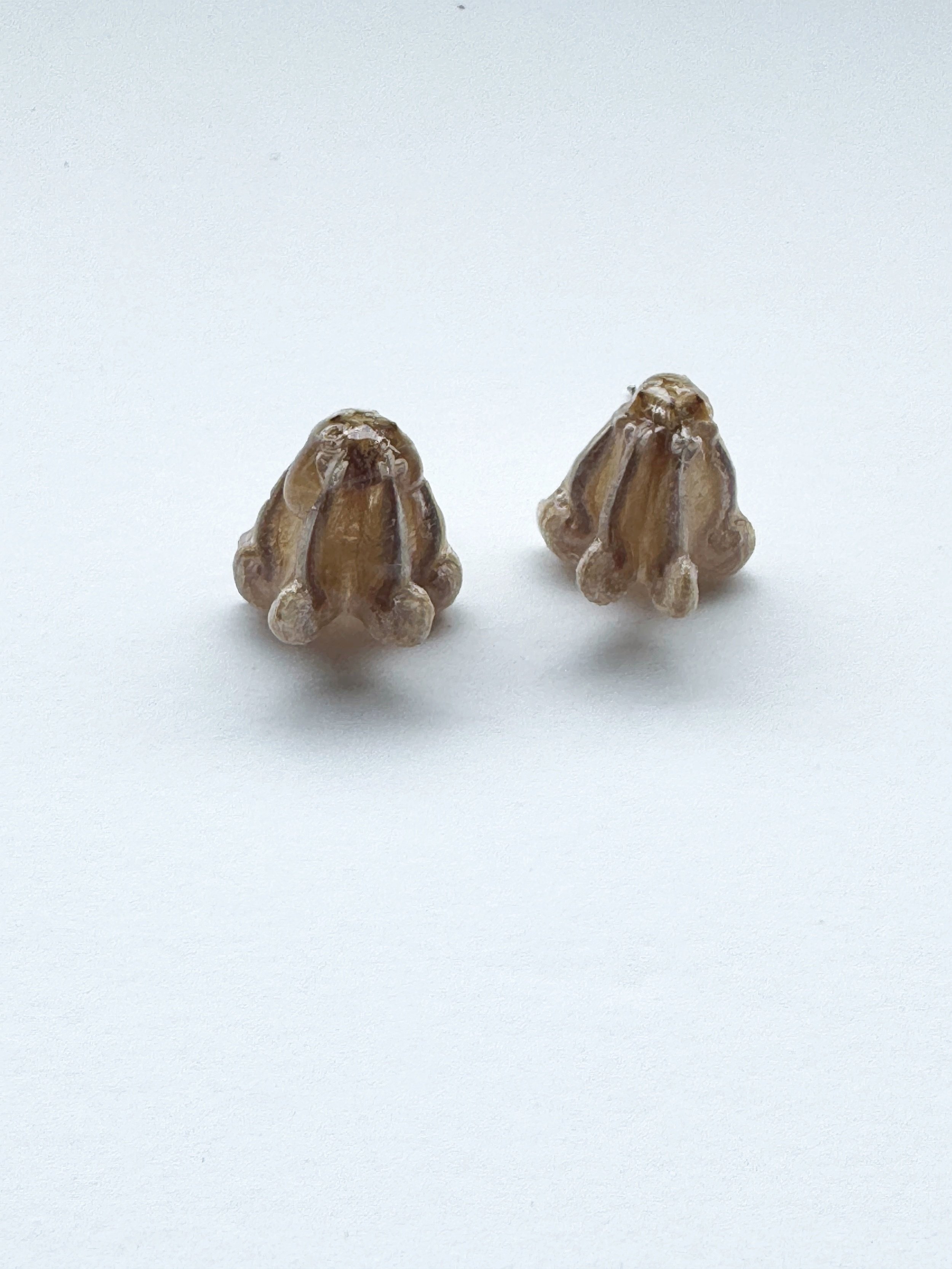 Real+Flower+Studs-++SW%23003.jpg
