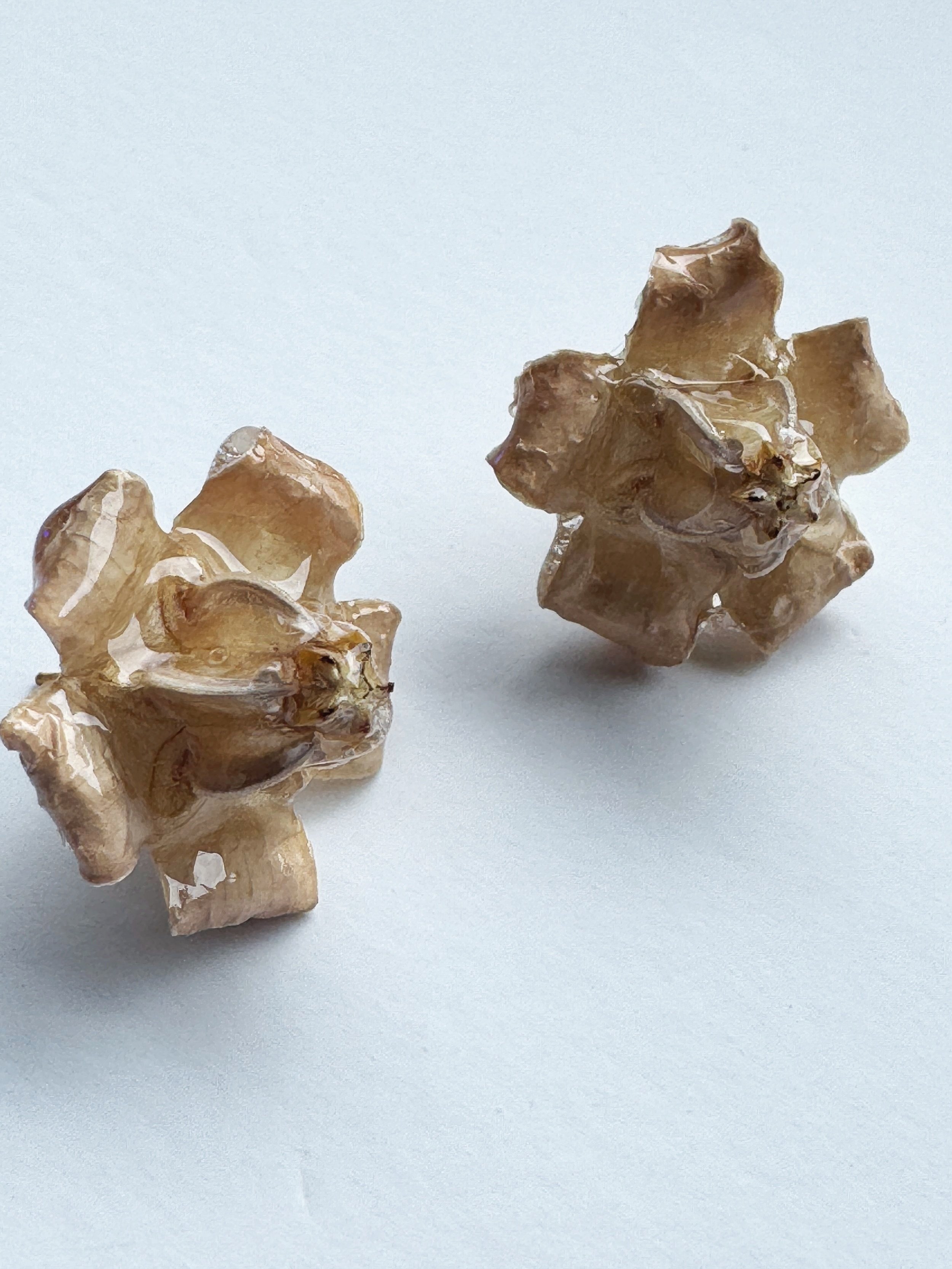 Real+Flower+Studs-+++GW%23003.jpg