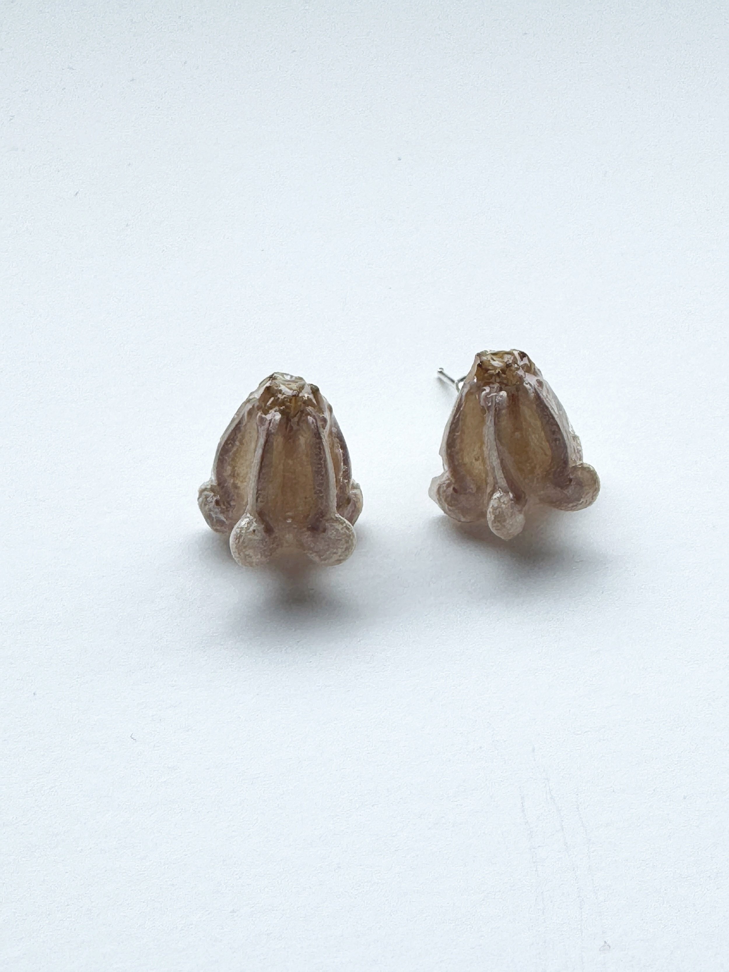 Real+flower+studs-++SW%23002.jpg