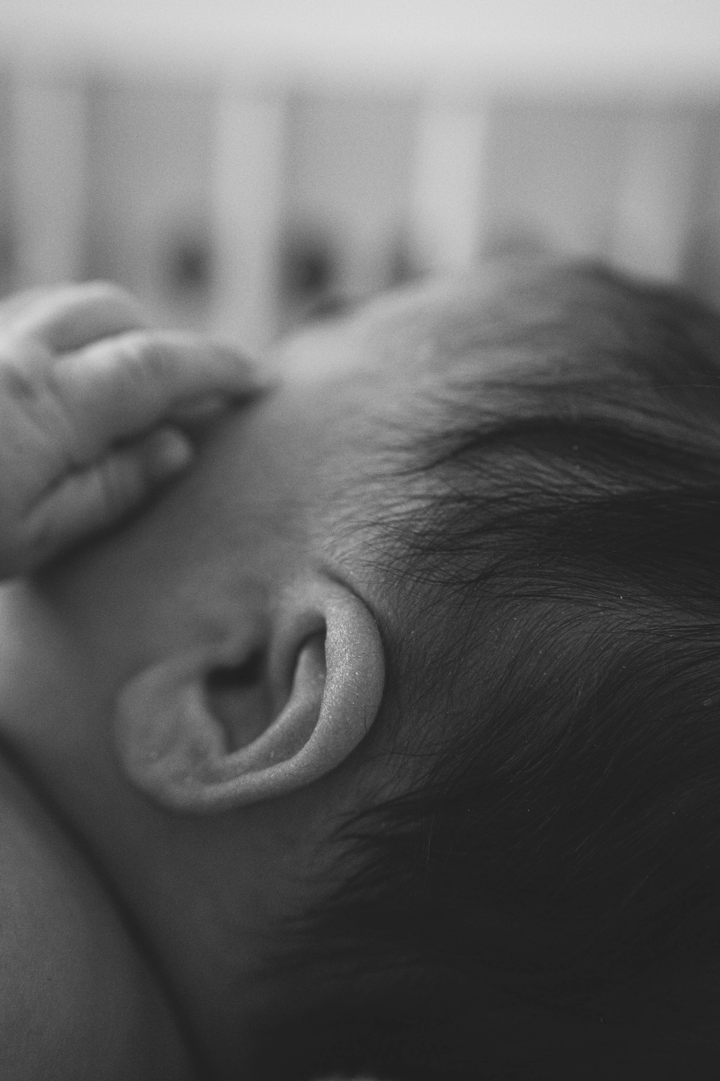 Elise Newborn00085.jpg