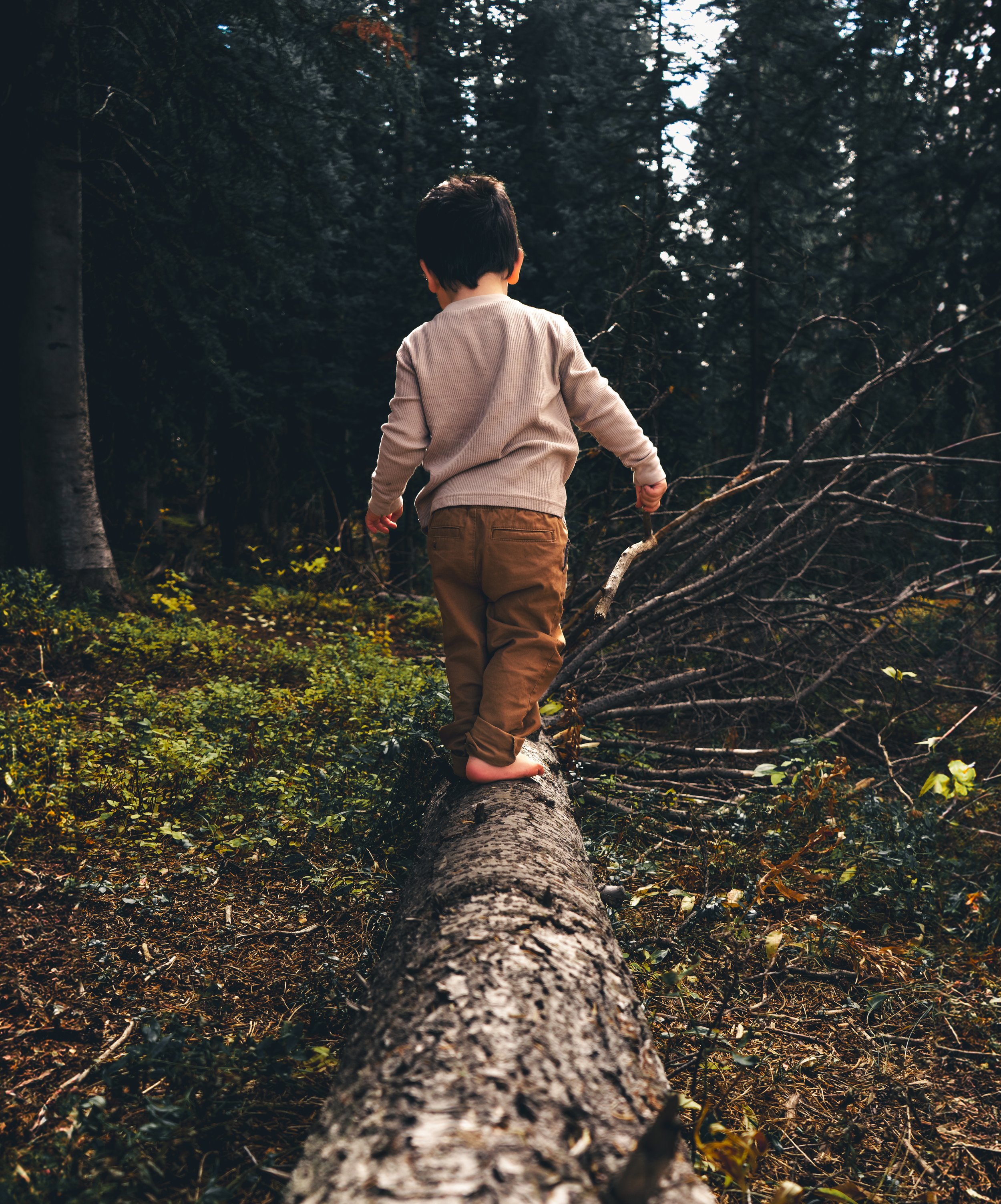 Child walking on a fallen tree in a forest