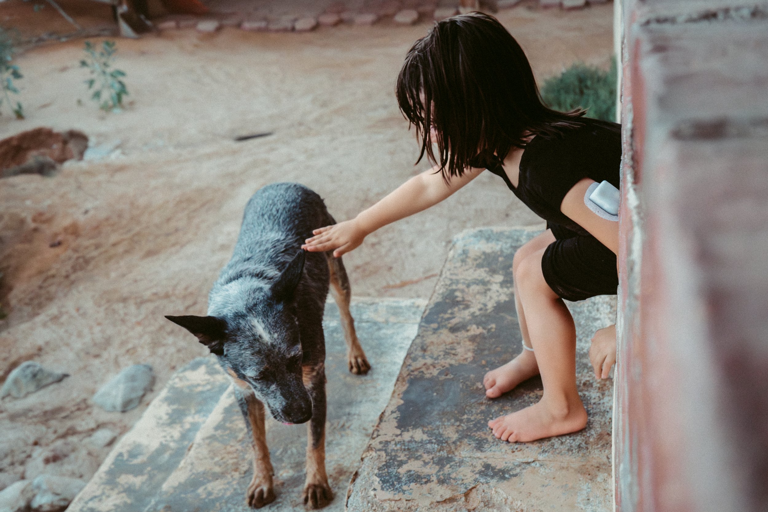 Child petting a dog while sitting on stone steps.