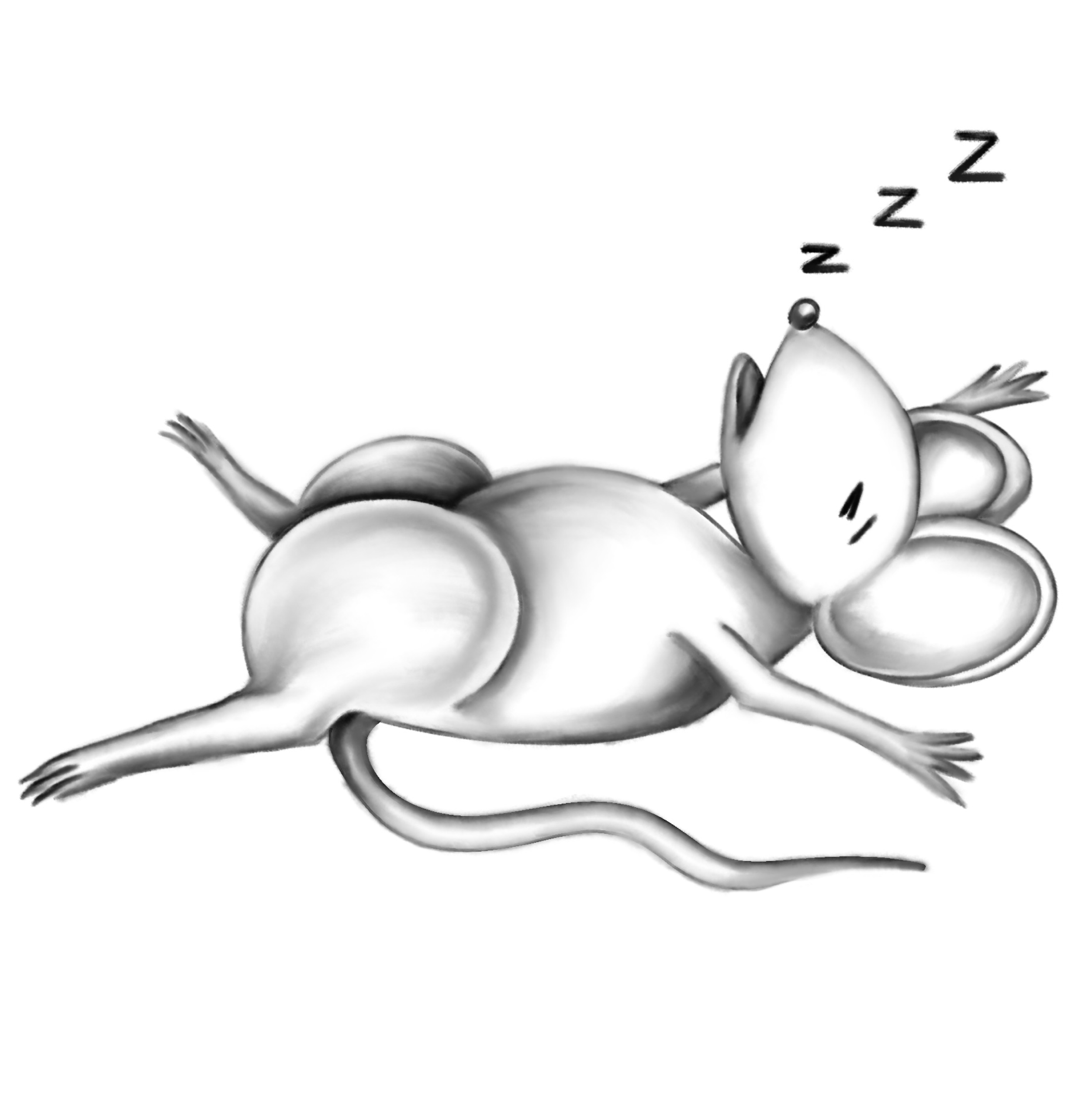 mouse1.png