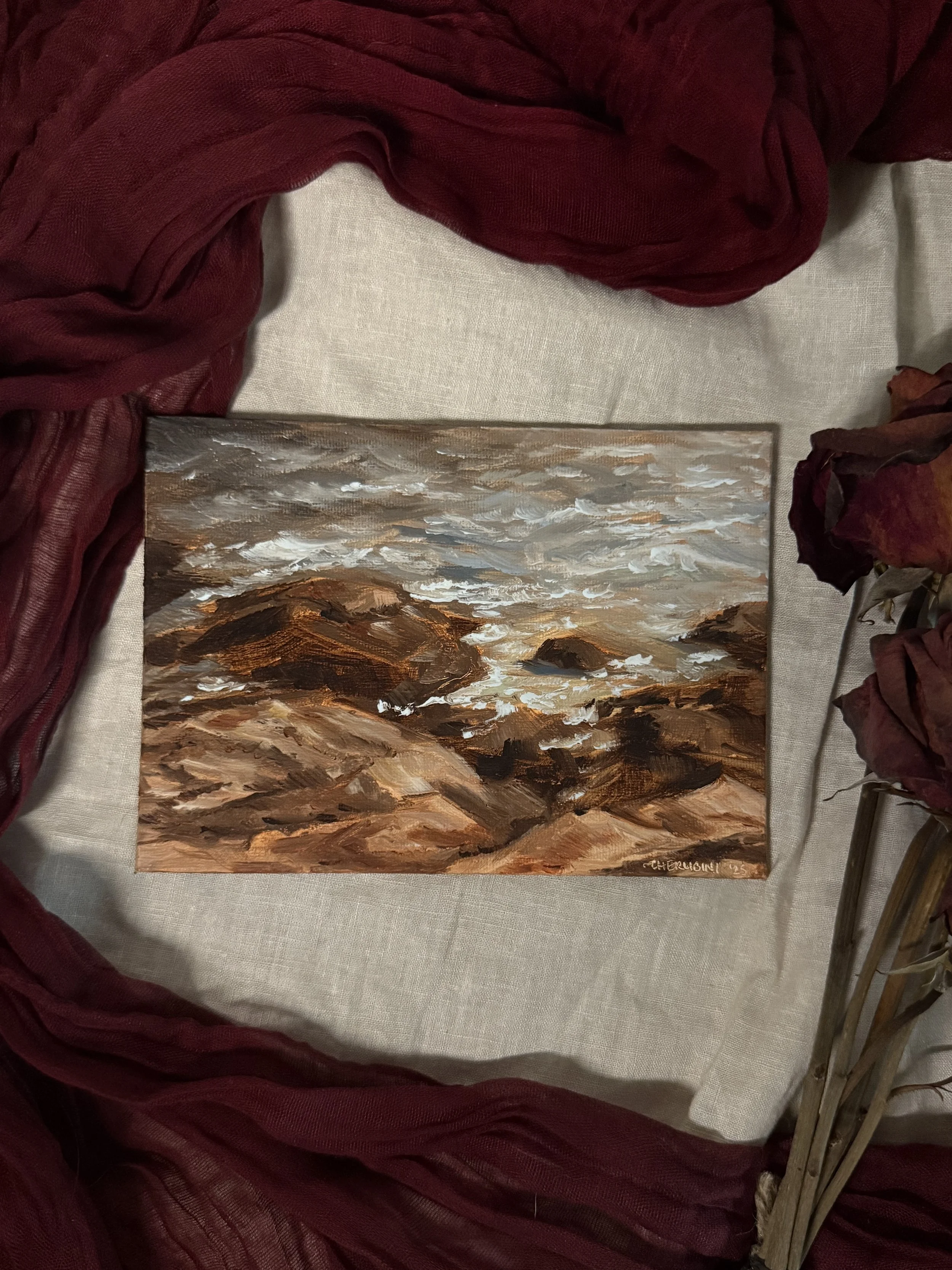 Tidal Rocks, Acadia National Park