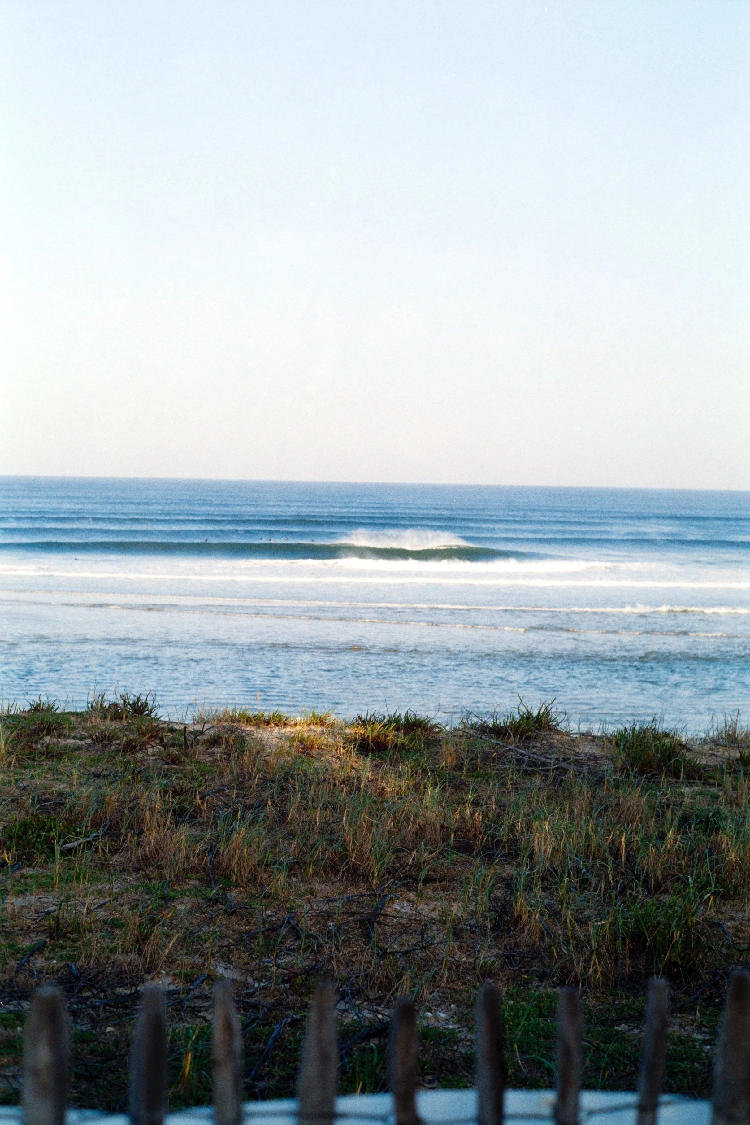 Photographie Argentique . Vue de la plage avec des vagues et des herbes au premier plan.