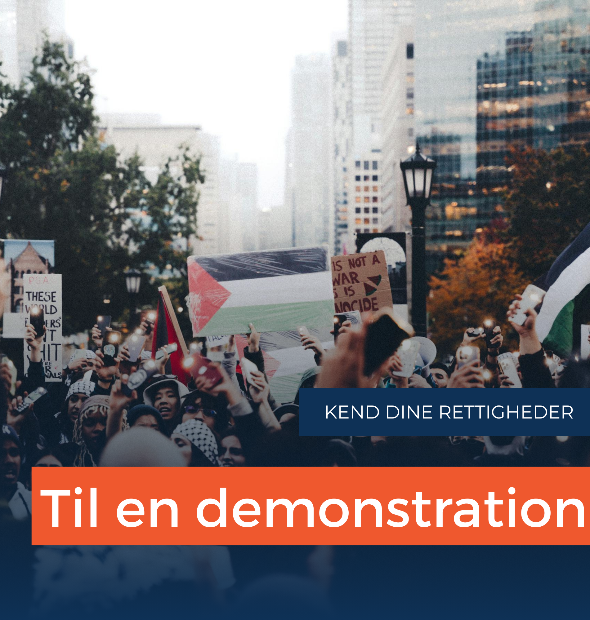 DINE RETTIGHEDER TIL EN DEMONSTRATION