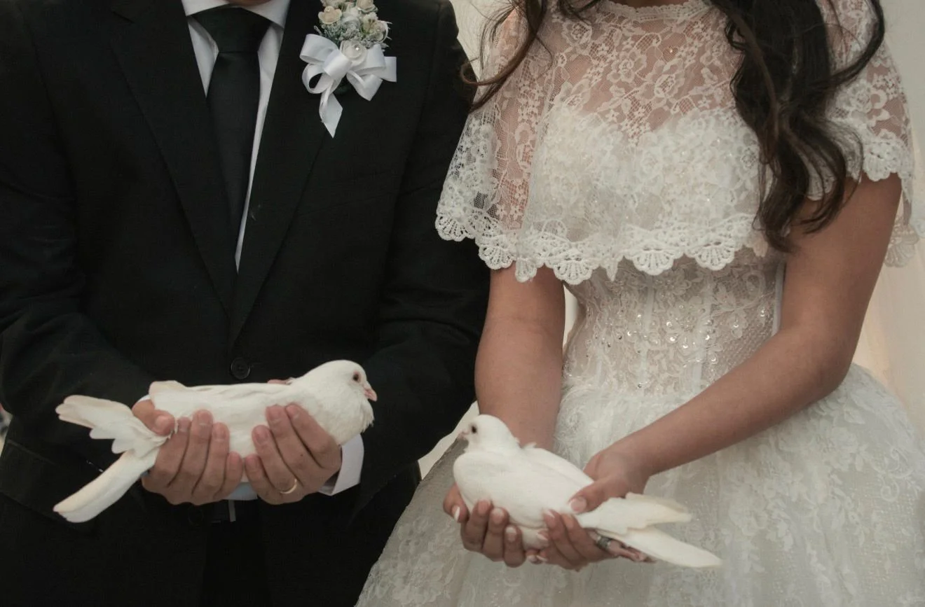Dove pic12.jpeg