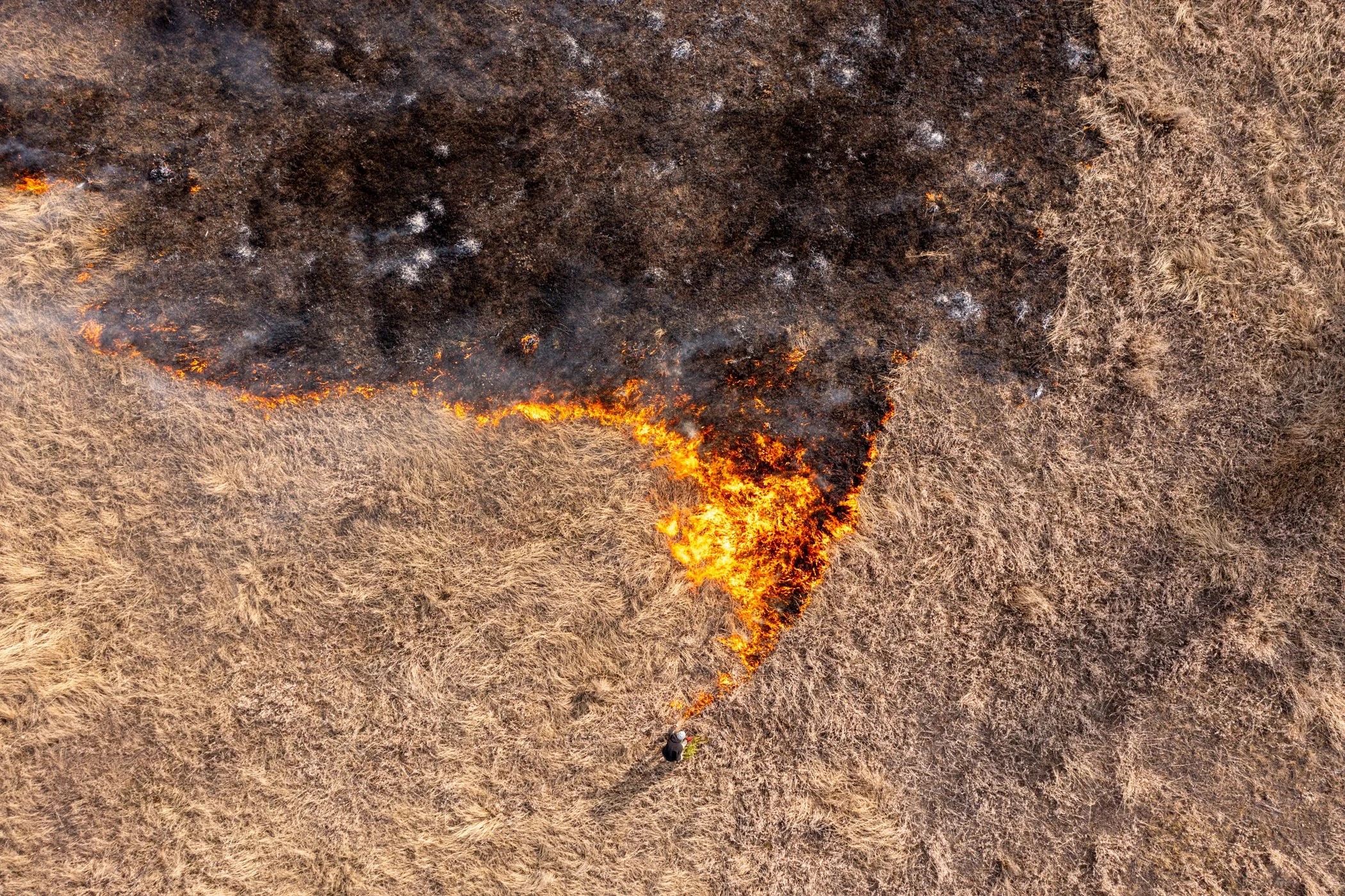 DJI_0115.jpg