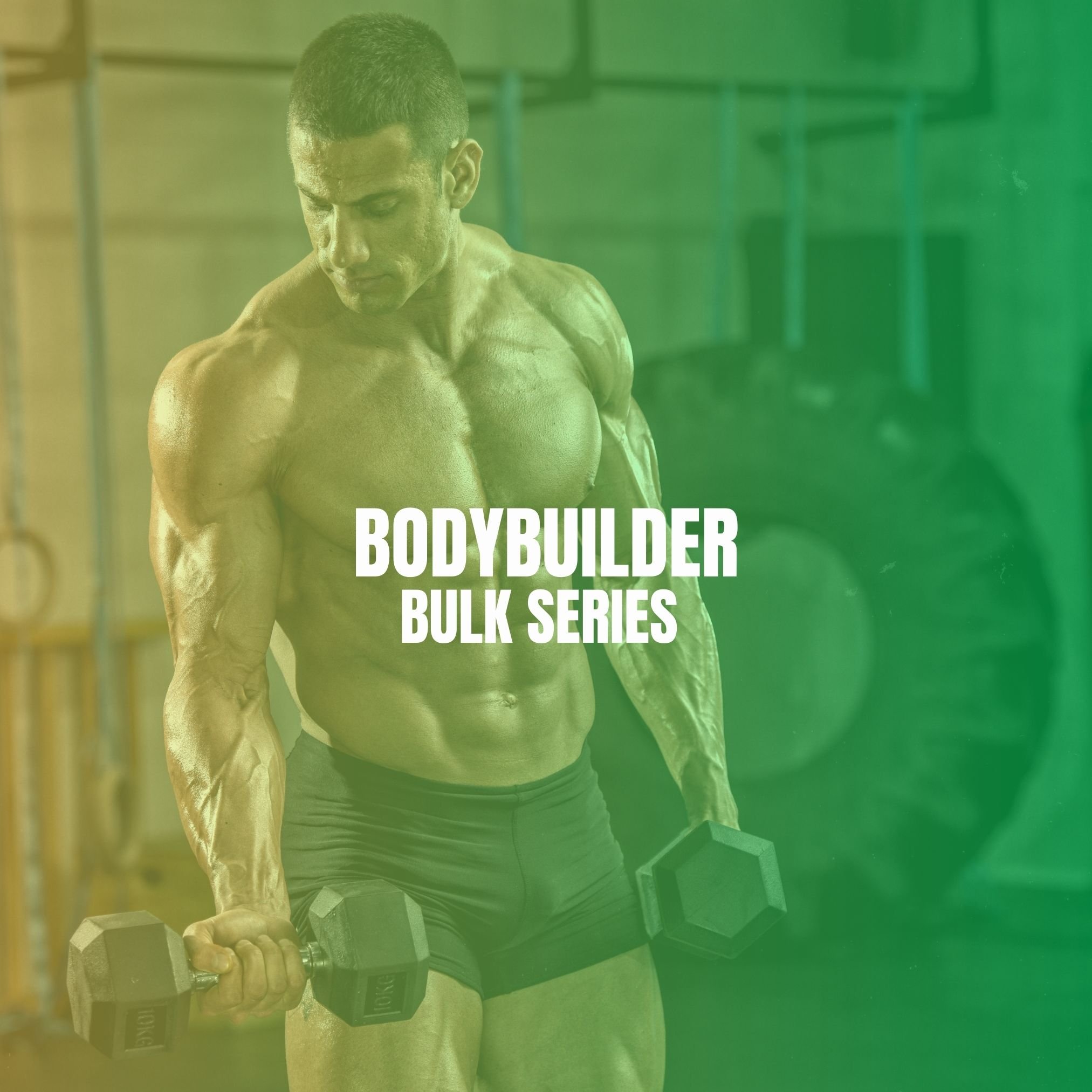 #4 - Bodybuilder Bulk Series