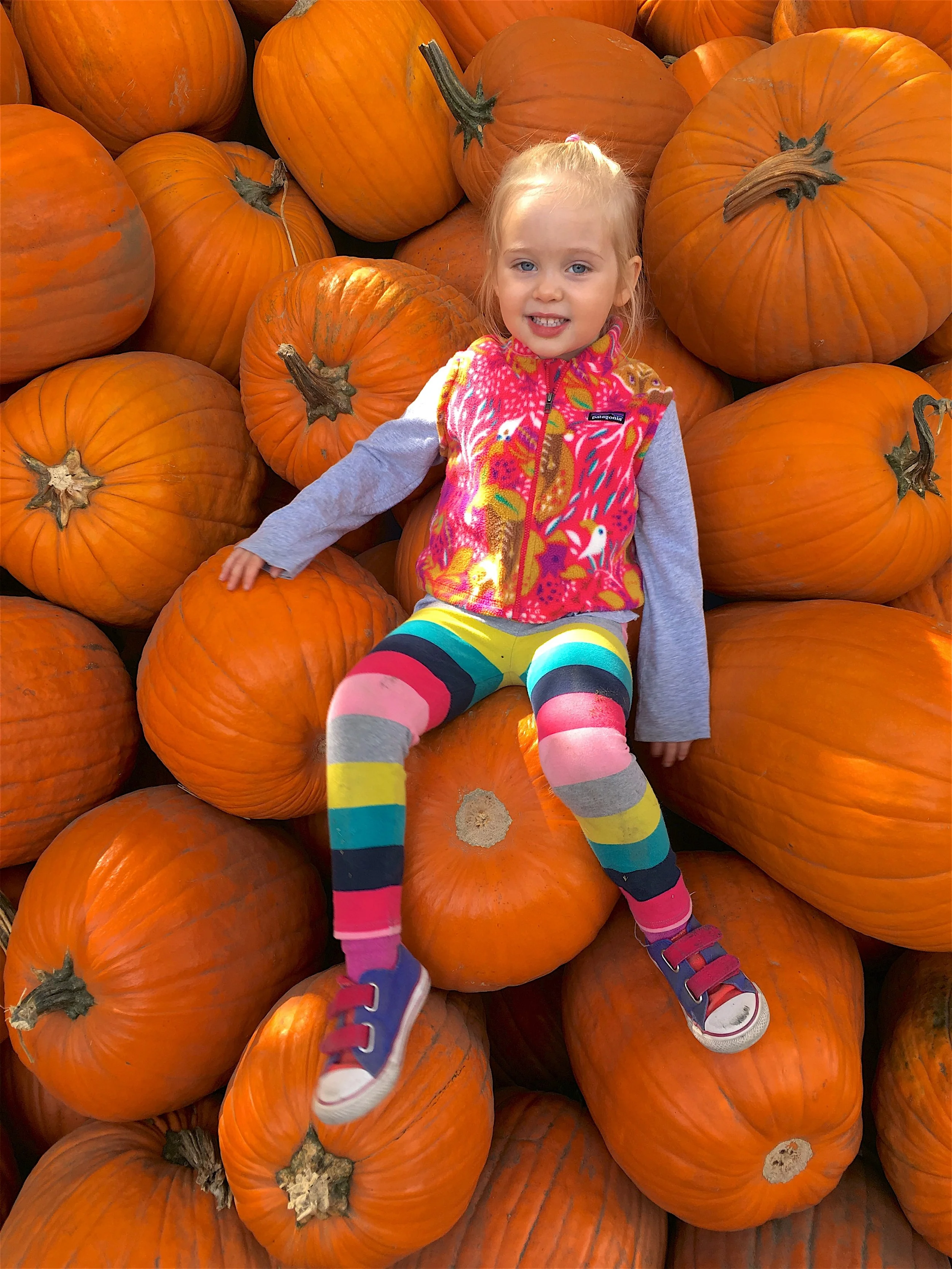 Pumpkin-1.jpg