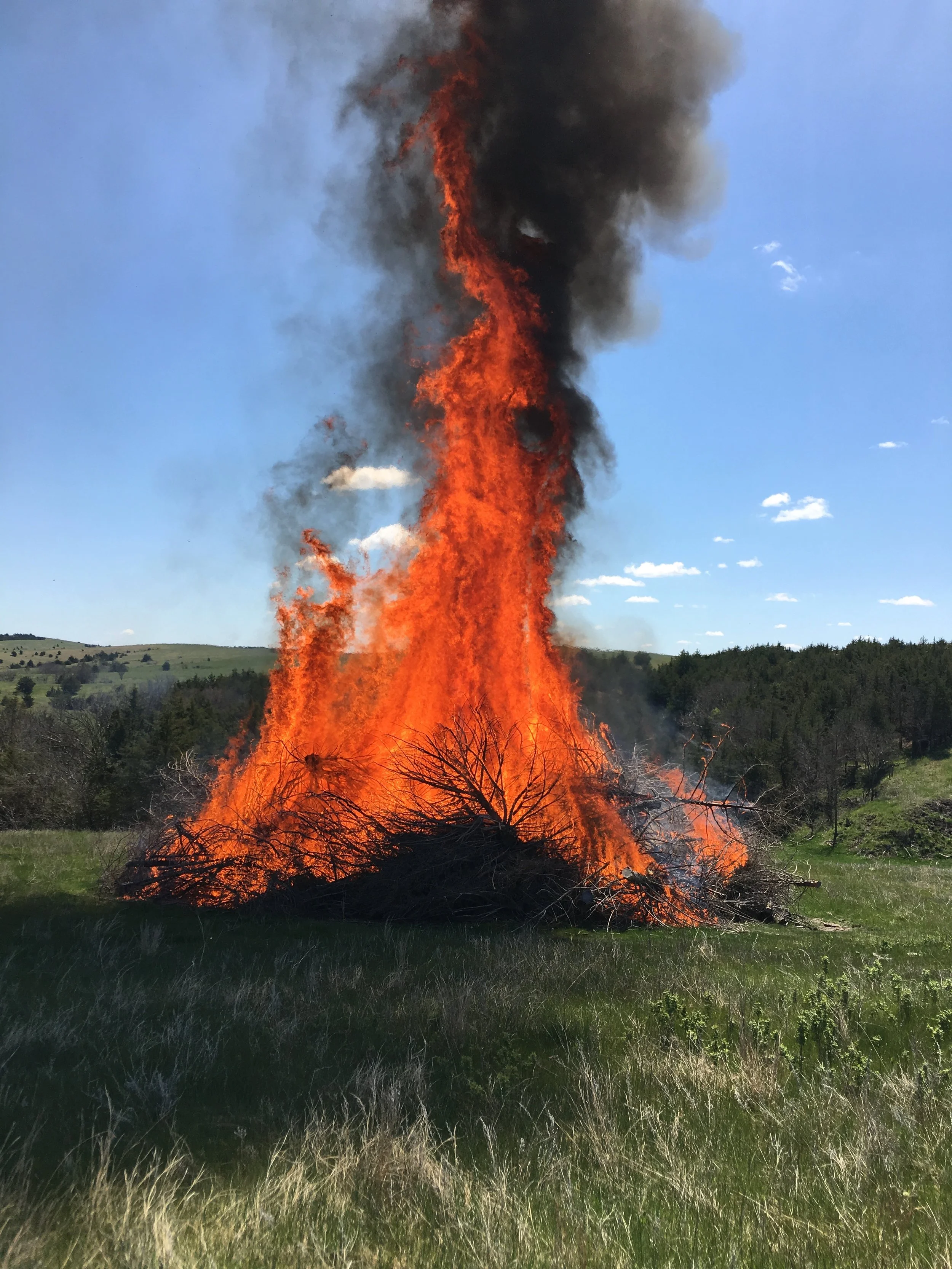 Nebraska-103.jpg