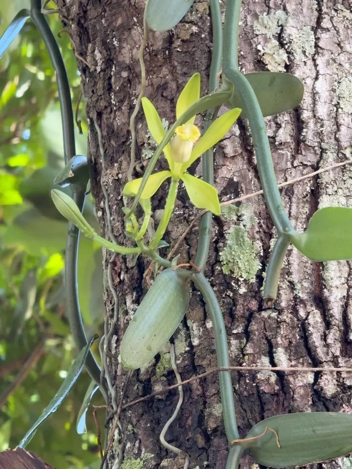 Outubro foi um m&ecirc;s que me abra&ccedil;ou em sil&ecirc;ncio. 
Entre dias cheios e noites longas, aprendi que o amor tamb&eacute;m se revela nas pausas, no cuidado, no olhar que entende, no gesto que permanece.

Houve o ritmo do trabalho, o cansa