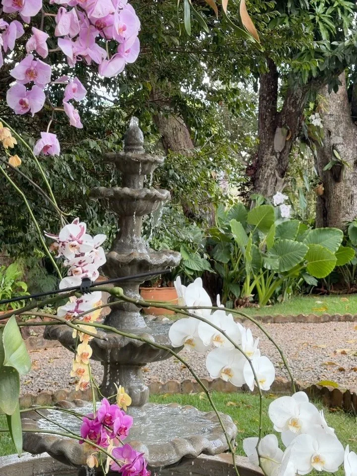 Maio.

Entre caf&eacute;s quentinhos, dias de trabalho, mesas compartilhadas, p&ocirc;r do sol e ora&ccedil;&otilde;es silenciosas, colecionei pequenos motivos para agradecer.

A felicidade tem mais a ver com isso:
n&atilde;o com uma vida extraordin&