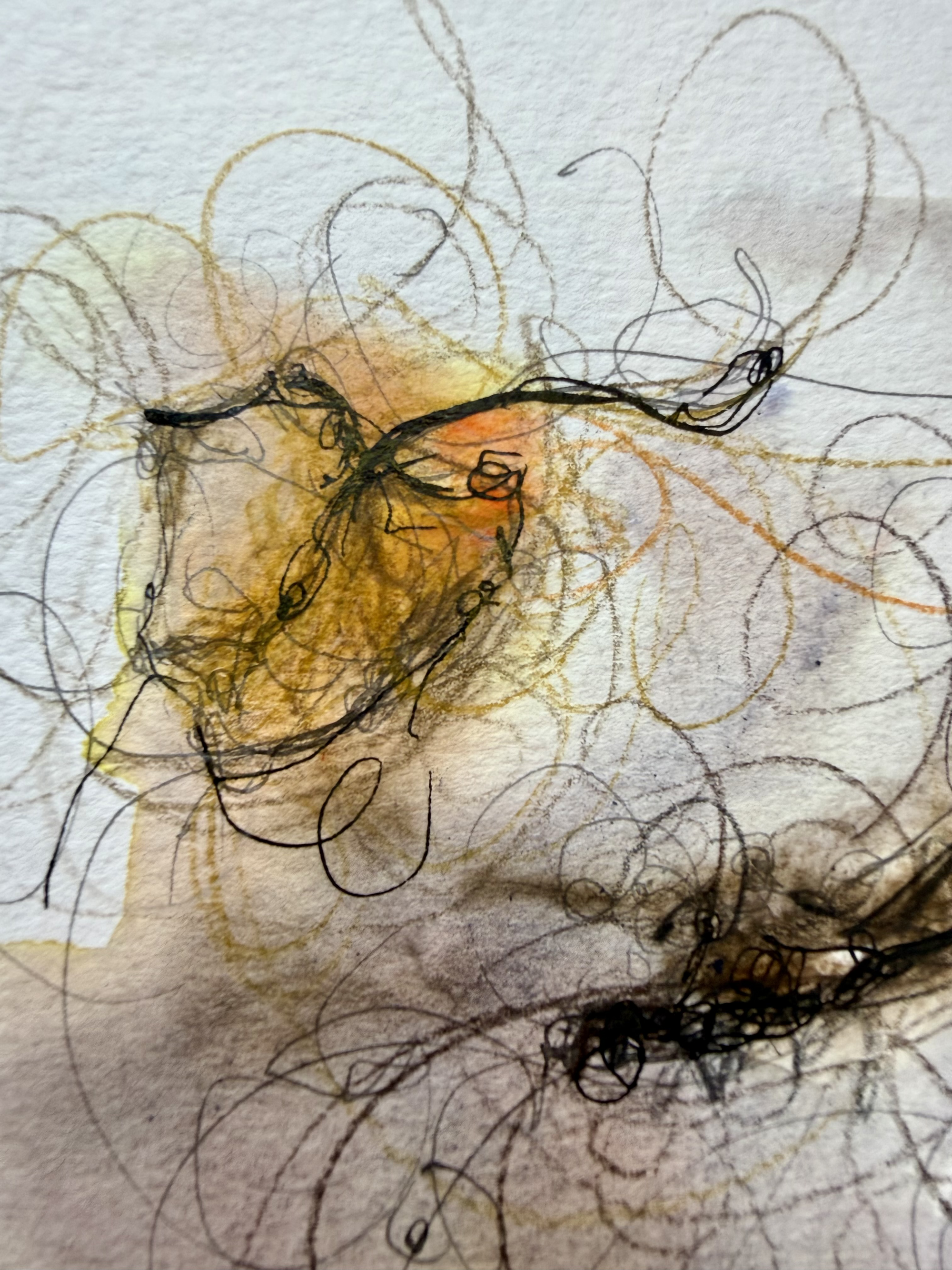 IMG_6314.png